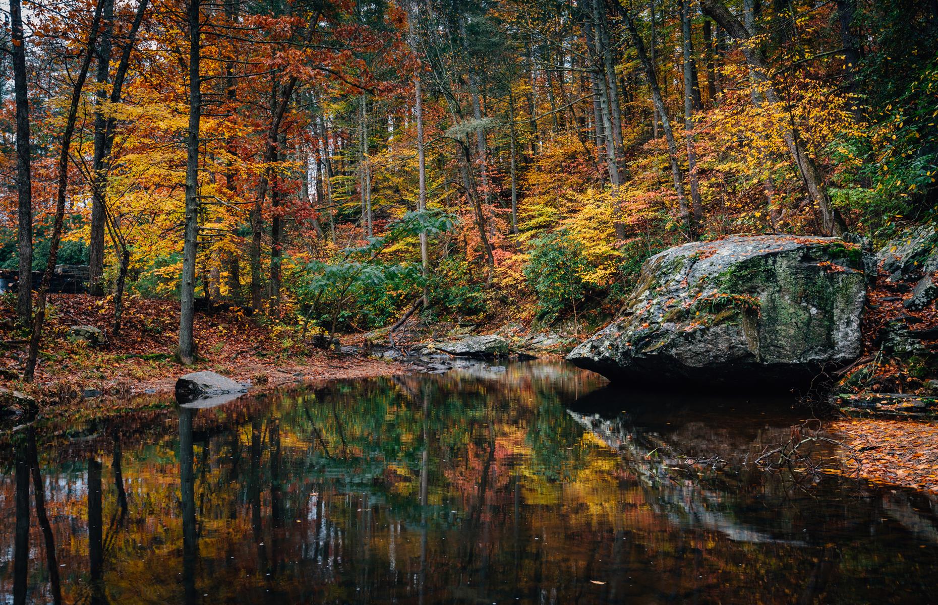 <p>The Blue Ridge Parkway is a top-notch driving destination, with stretches and curves of tree-lined roads, and one incredible scenic overlook after another. <a href="https://www.recreation.gov/camping/campgrounds/251534">Otter Creek</a>, looped by waterside and forest trails, is one of the best places to stay overnight here. There are two dozen RV sites scattered among the trees or right by the creek, so campers are soothed to sleep each night by the trickle of water and the gentle rustle of leaves. It's currently closed due to COVID-19 but keep an eye on <a href="https://www.nps.gov/blri/index.htm">the park's website</a> for reopening updates.</p>