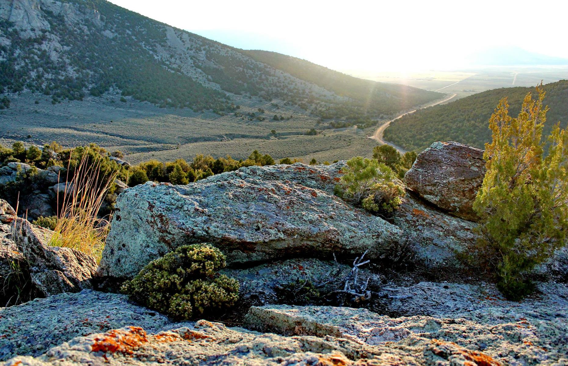 <p>Idaho’s <a href="https://www.nps.gov/ciro/planyourvisit/index.htm">City of Rocks</a> is like no other city we’ve seen. There are no skyscrapers or busy streets. Instead, the landscape is strewn with granite monoliths and pinyon pines, the air is fragrant with sagebrush and most of the residents have wings. This is a bird-watcher's paradise with more than 170 species from burrowing owls to mountain bluebirds. The overlook is reached via a narrow, twisty road, with soul-soaring views across the national reserve waiting at the top. There are <a href="https://www.nps.gov/ciro/planyourvisit/camping.htm">two campgrounds</a> within the park.</p>