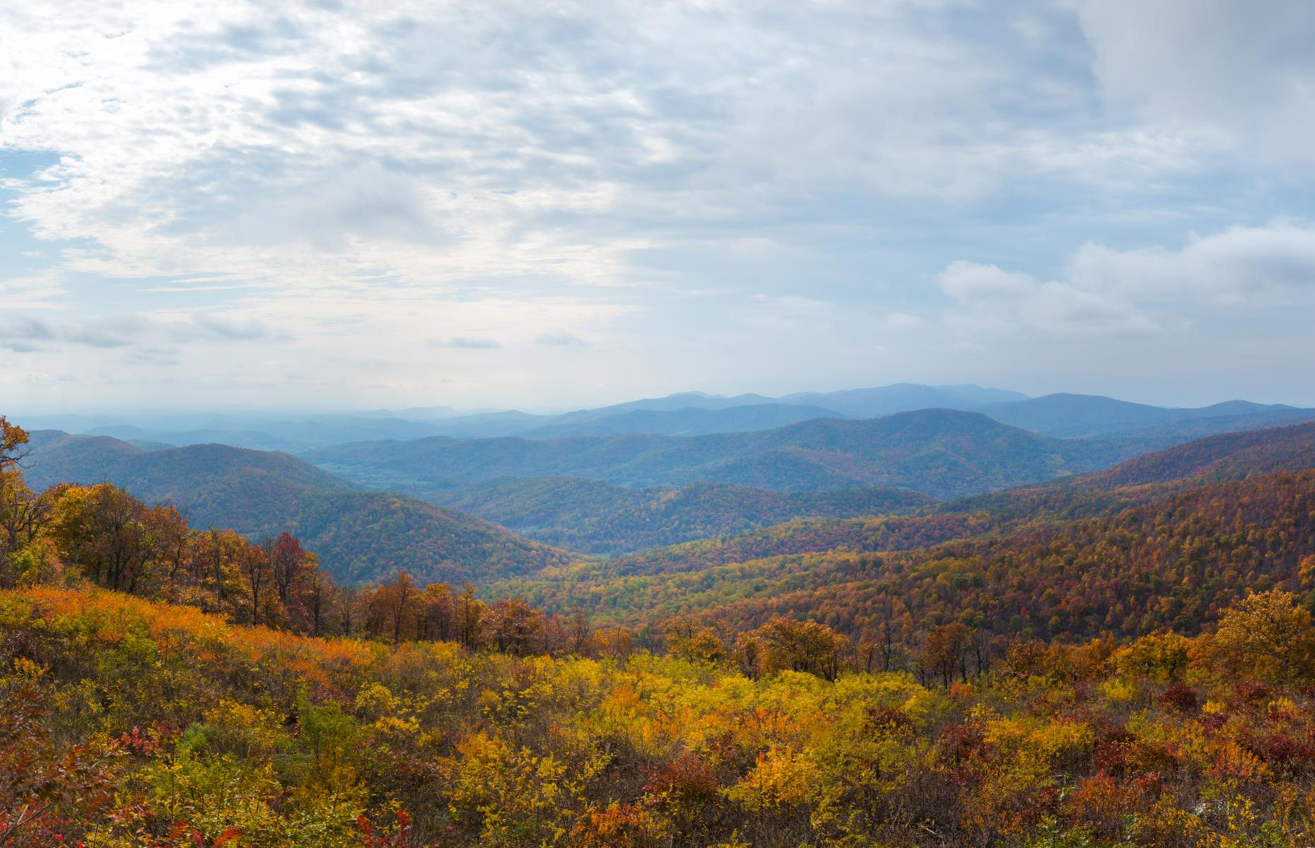 <p>Trees, lush in spring and summer and burning in fall, line the route, and wildlife such as black bears and deer sometimes amble across the road. Popular scenic stops include the Range View Overlook with beautiful vistas across the Blue Ridge Mountains, while the Dickey Ridge Loop is a favored hiking trail. <a href="https://www.loveexploring.com/galleries/97314/27-hiking-mistakes-you-wont-want-to-make?page=1">Make sure you don't make any of these hiking mistakes next time you hit the trails</a>.</p>