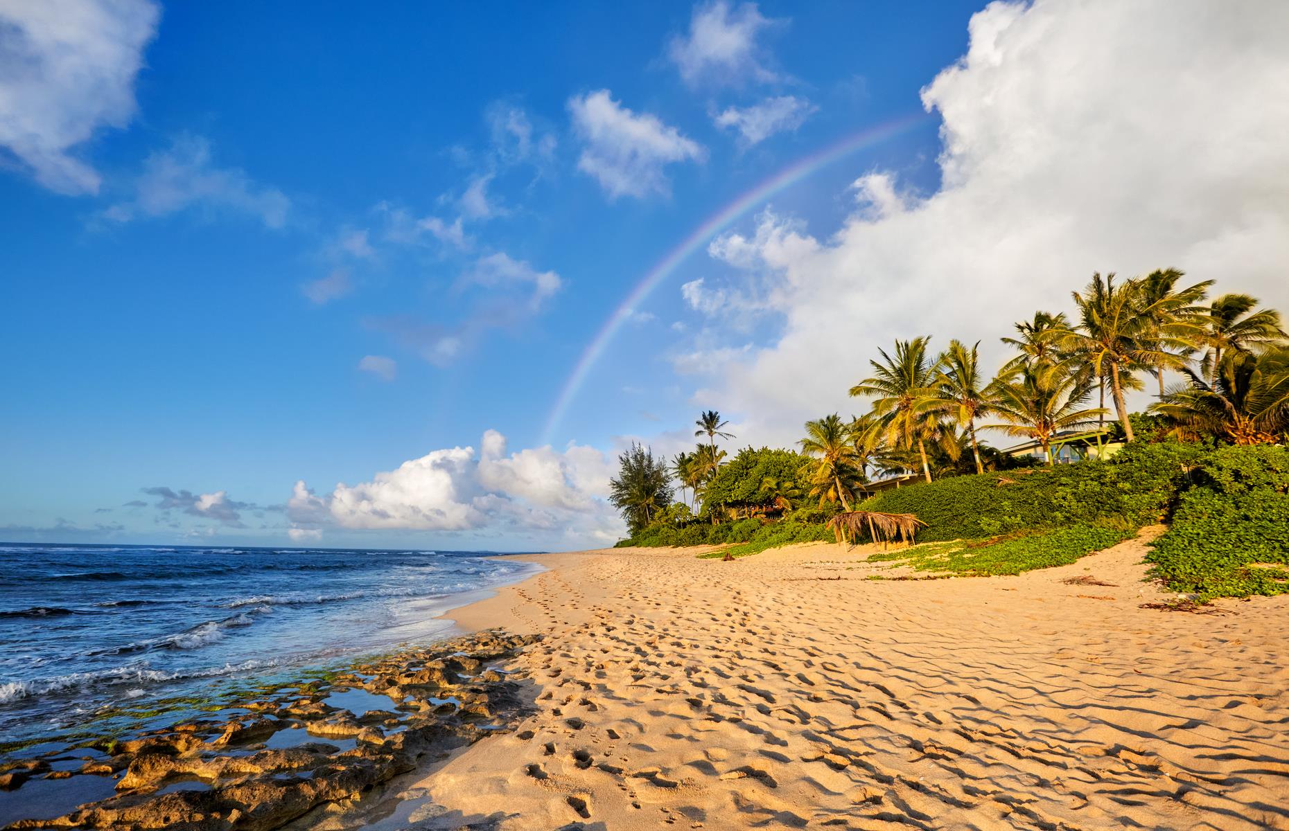 <p>Jaw-dropping ocean vistas, which open out along the Kamehameha Highway, are the true draw of this road trip. But there are other highlights too. Thrill-seekers love the Kualoa Ranch, a sprawling nature reserve offering zip-line canopy tours (<a href="https://www.kualoa.com/covid-19-information/">keep an eye on the website</a> for updates on visitor restrictions). The final stop is Pūpūkea, whose attractions include the wonderful surf at Sunset Beach (pictured) and the native history and natural beauty of the Waimea Valley. Note that there are currently quarantine requirements for visitors to Hawaii – <a href="https://www.gohawaii.com/">check GoHawaii.com for details</a>.</p>