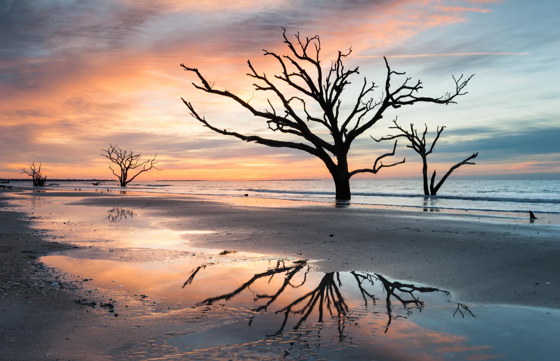 <p>One popular detour is Edisto Island. An area of lush natural beauty, it's home to the Botany Bay Plantation Heritage Preserve with its unspoiled beaches and wetlands (pictured), as well as the wildlife-rich Edisto Beach State Park (<a href="https://southcarolinaparks.com/edisto-beach">read the travel advisories before a visit</a>). The final destination, Beaufort is beloved for its 19th-century architecture and its live oaks dripping in Spanish moss. The Beaufort Shrimp Festival typically takes place in the fall too.</p>