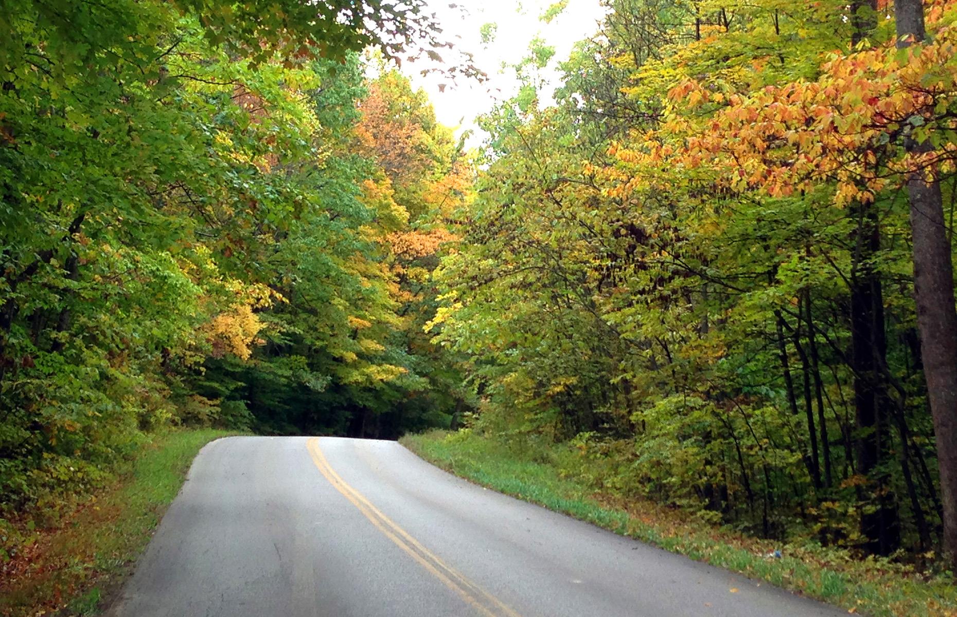 <p>The outdoors reigns supreme on this 80-mile (129km) trip from Indianapolis to the city of Bedford. Heading south from the state capital, the route mostly keeps drivers on I-69 and verdant IN-37 – but a detour through Morgan-Monroe State Forest on tree-hemmed Old State Road 37 (pictured) makes the route prettier. It involves just under two hours of driving time.</p>