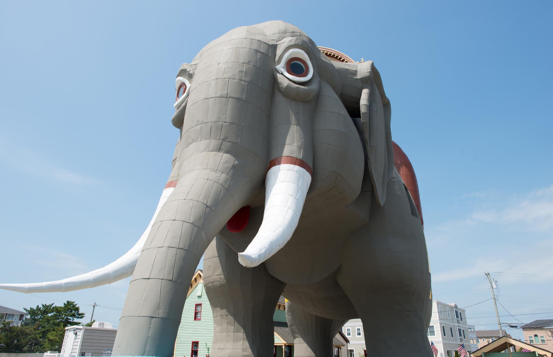 <p>Feel-good Atlantic City is famed for its buzzy boardwalk, casinos and steel pier and then, out of the city proper, quirky roadside attractions begin to pop up. A highlight is Lucy the Elephant, a mammoth model elephant in Margate City (pictured). The city of Cape May sits right at the southern tip of the Cape May peninsula, near attractions such as the Cape May National Wildlife Refuge with its beaches, dunes and marshes (the FWS reminds visitors to <a href="https://www.fws.gov/refuge/cape_may/">check for park updates</a> before heading out).</p>