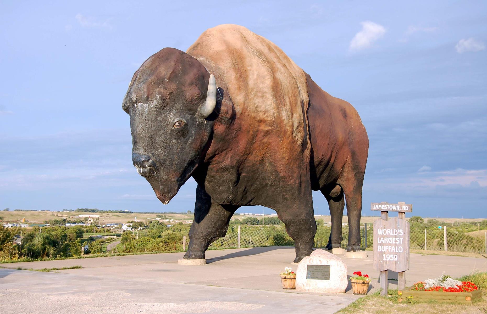 <p>Home to the world's largest buffalo monument, Jamestown has plenty of exciting attractions to discover. There's the National Buffalo Museum, of course, and the Frontier Village, capturing what life would've been like for early settlers. Both the 1883 Historic Stutsman Courtroom and Courthouse are fascinating too. If you have a VR headset, you can view <a href="https://www.bemorecolorful.com/ViewProject.aspx?qs=Zq8Uh45JX6o=">this tour</a> in 3D.</p>