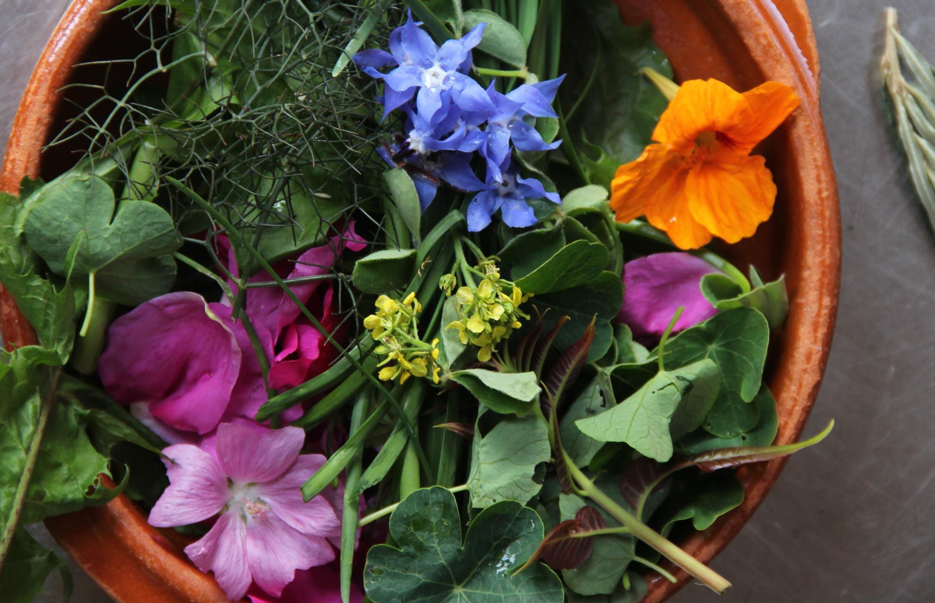 a close up of a flower on a plant