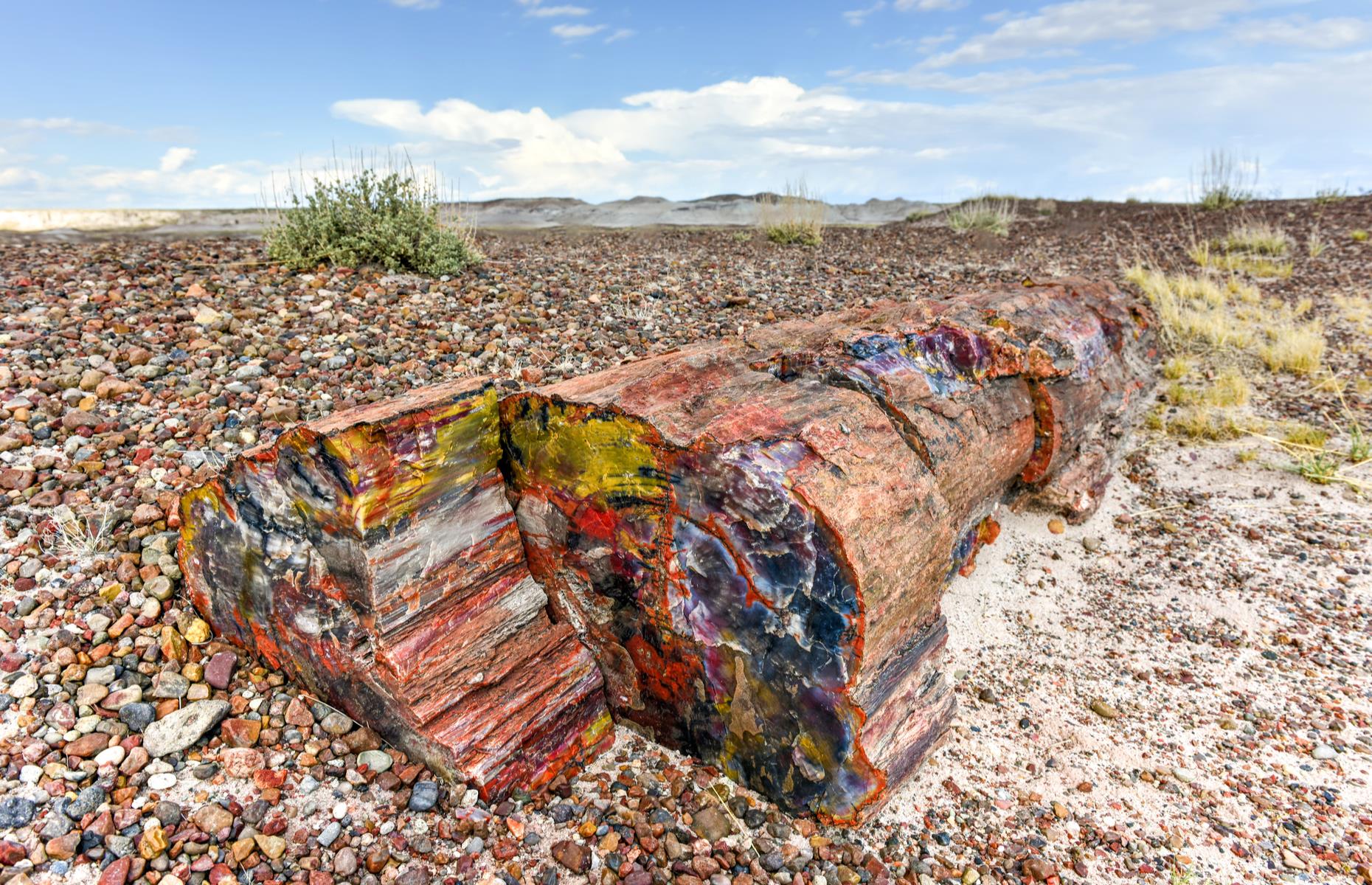 This curious national park in northeastern Arizona is best known for its colorful petrified trees and its intricate rock formations. The park is a great spot for hiking: opt for the Giant Logs Loop, a half-mile wander that takes in the many fallen, fossilized trees, their rainbow cores glinting in the sunlight. The Rainbow Forest Museum in the south of the park is also a great place to learn about the site's history and geology.
