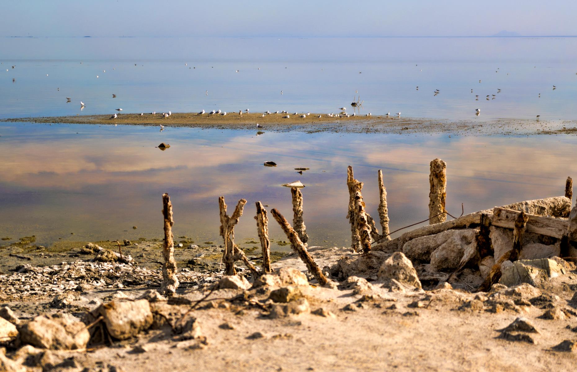 <p>Most visitors to America are au fait with ghost towns, but ghost beaches are another matter. Once a thriving resort area modeled on the French Riviera, Bombay Beach was all but destroyed by the ever-increasing salt levels of the Salton Sea, which killed off its marine life and frightened away tourists. Today some residents remain in the surrounding area, with the beach otherwise attracting photographers and film crews with its apocalyptic expanse. <a href="https://www.loveexploring.com/galleries/77836/the-eeriest-ghost-towns-in-america?page=1">Discover the eeriest ghost towns in America</a>.</p>