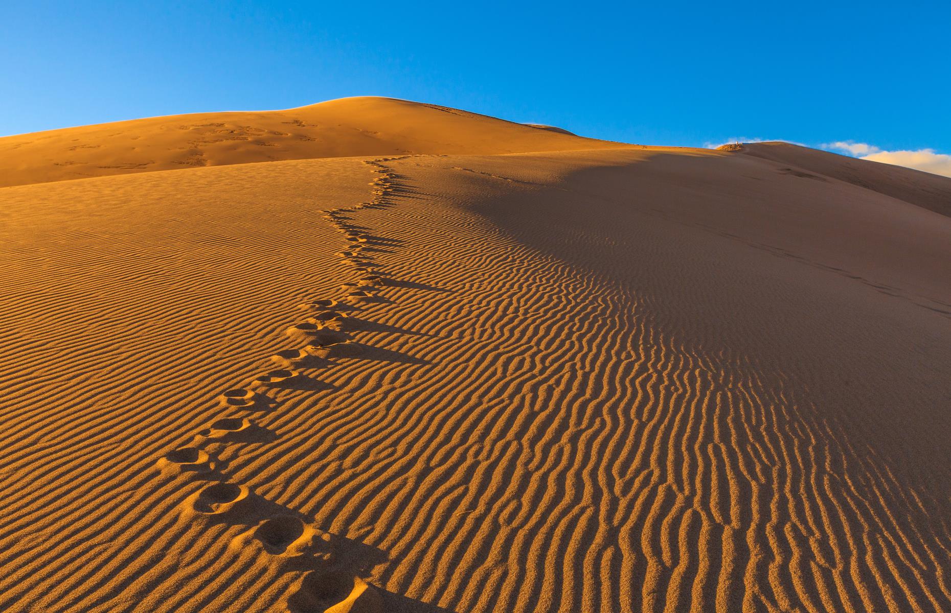 <p>You'd be forgiven for thinking these vast, golden dunes were in the Sahara Desert but they're actually in Colorado, in the aptly named Great Sand Dunes National Park and Preserve. The loftiest dunes in North America, the sand mountains are framed by blue skies and flanked by snow-capped peaks – they're best explored on a sled or a sand board, or after dark when the inky sky above is flecked with stars.</p>