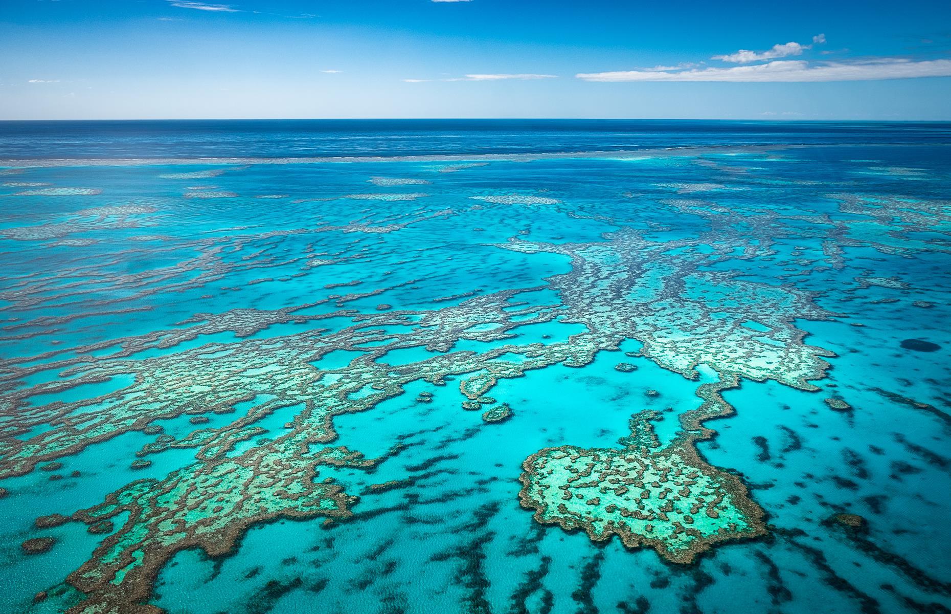 <p>The Great Barrier Reef is famously so vast it can be viewed from space. It looks good both underwater and from dry land. It’s the world’s largest reef system, made up of nearly 3,000 reefs and encompassing more than 135,000 square miles (350,000sqkm). It’s also home to whales, dolphins, sea turtles and thousands of species of fish. Even without all that, the dazzling, dappled expanse of blue is pretty lovely to look at.</p>