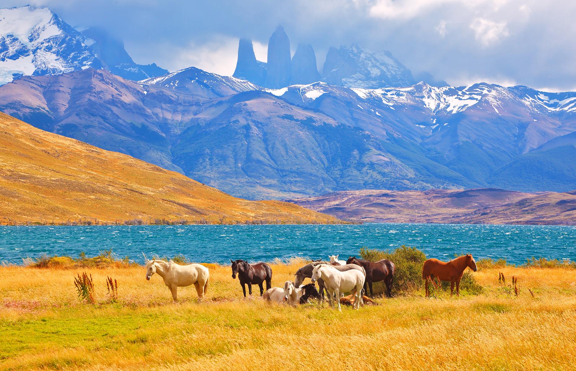 A rugged landscape of jagged peaks, shimmering lakes, ancient forests and vast glaciers, Patagonia is a region that captures the imagination. The three sharp granite towers that rise well over 8,000 feet (2,500m) are one of the vast national park's most striking landmarks. Known as Torres del Paine, they formed millions of years ago, and the park surrounding the peaks is also home to the Patagonian wild horses, also known as baguales.