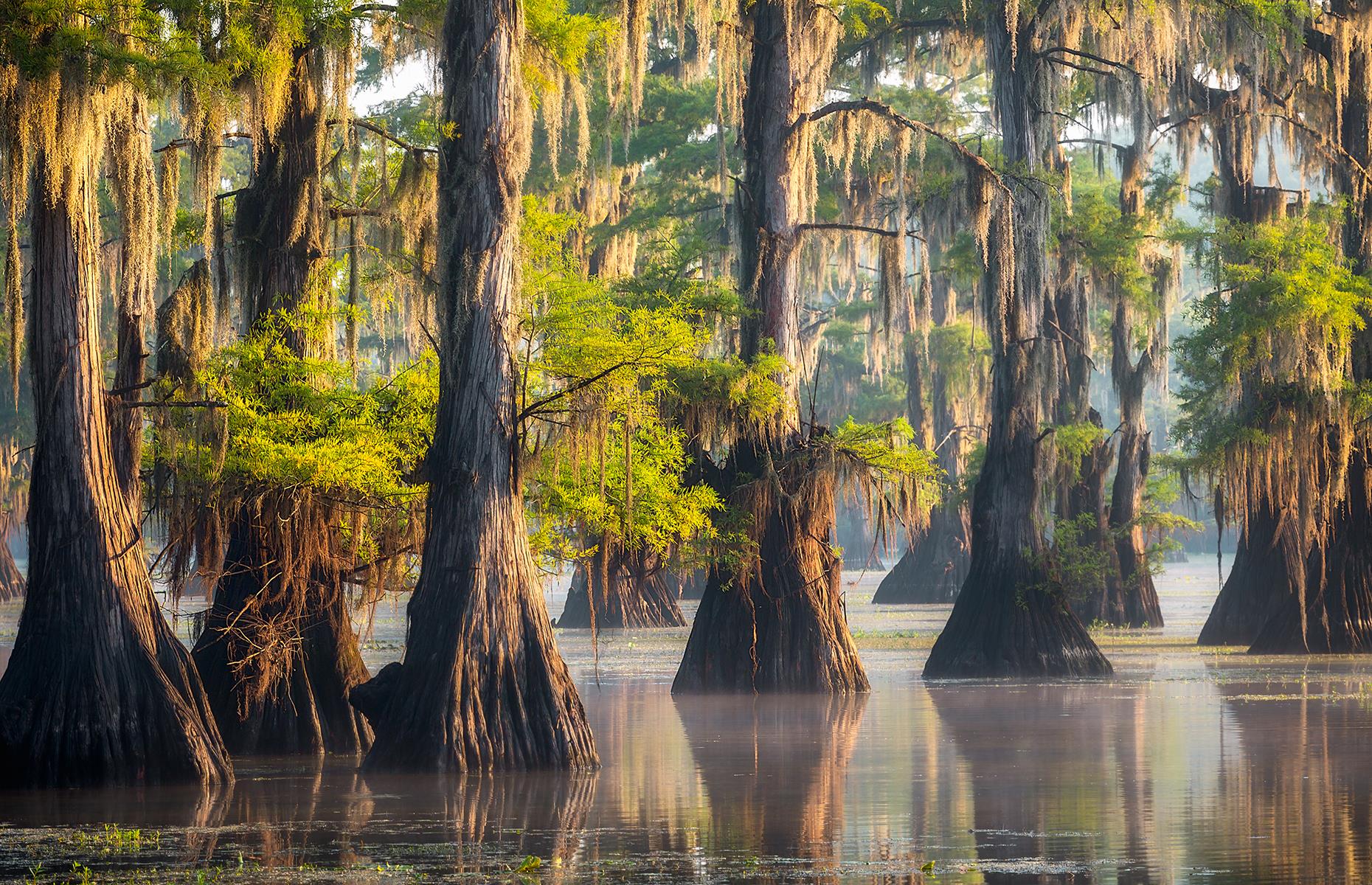 Slide 3 of 41: This swampy lake that lies on the border of Texas and Louisiana is probably one of the moodiest natural wonders on this list. Spanish moss drips from the cypress trees, whose broad, knotted trunks are submerged in the dark, mysterious water. Alligators can sometimes be found basking on logs and the lake's slightly spooky ambiance is perfect for slow paddling in a kayak or canoe. These are America's most stunning lakes.