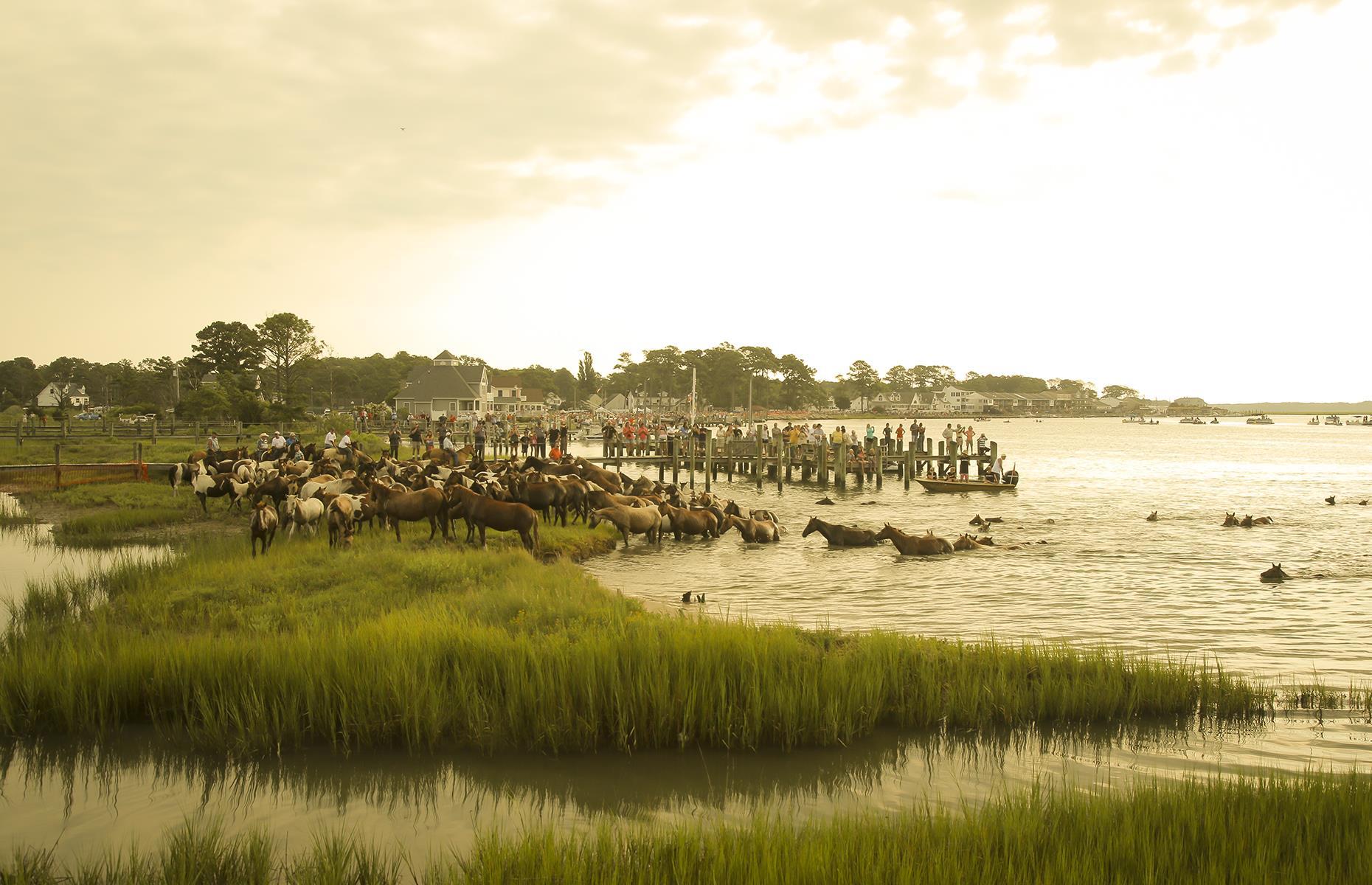 <p>The adorable Chincoteague Island is just seven miles (11km) long and three miles (4.8km) wide, but bursting with nostalgic charm. The area is dotted with cottages and surrounded by sandy shores, and there’s a distinct lack of fancy resorts, high-rises or boardwalks. Head to the <a href="https://www.fws.gov/refuge/chincoteague/">Chincoteague Wildlife Refuge</a> to spot the wild horses roaming the neighboring Assateague Island, or attend the annual <a href="https://www.chincoteague.com/pony_swim_guide.html">Chincoteague Pony Swim</a> to watch the animals enjoy a dip in the water. Although the event is canceled this year, there's hope it'll be back in 2021.</p>