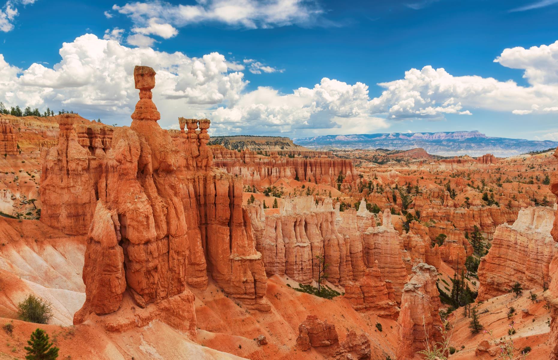 Slide 36 of 100: The warped rock formations in Utah's Bryce Canyon National Park are among the most impressive in the States. Rocky spires called hoodoos cover the park in a riot of orange and pink – in fact, Bryce Canyon is home to the largest concentration of these striking crags anywhere on the planet. They were formed over millions of years, eventually sculpted by ice and rain.