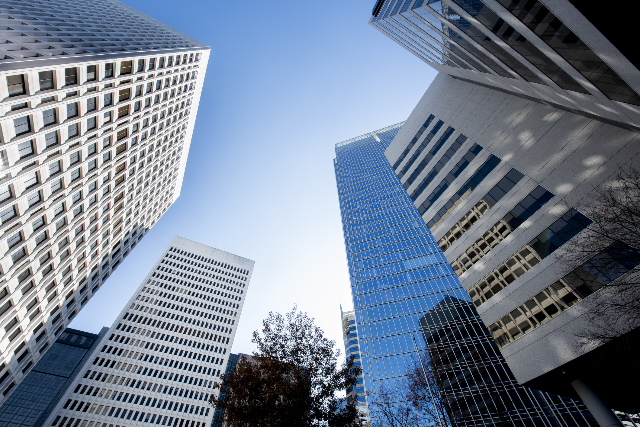 Freddie Freeman surprises young Phillies fan who gave HR ...