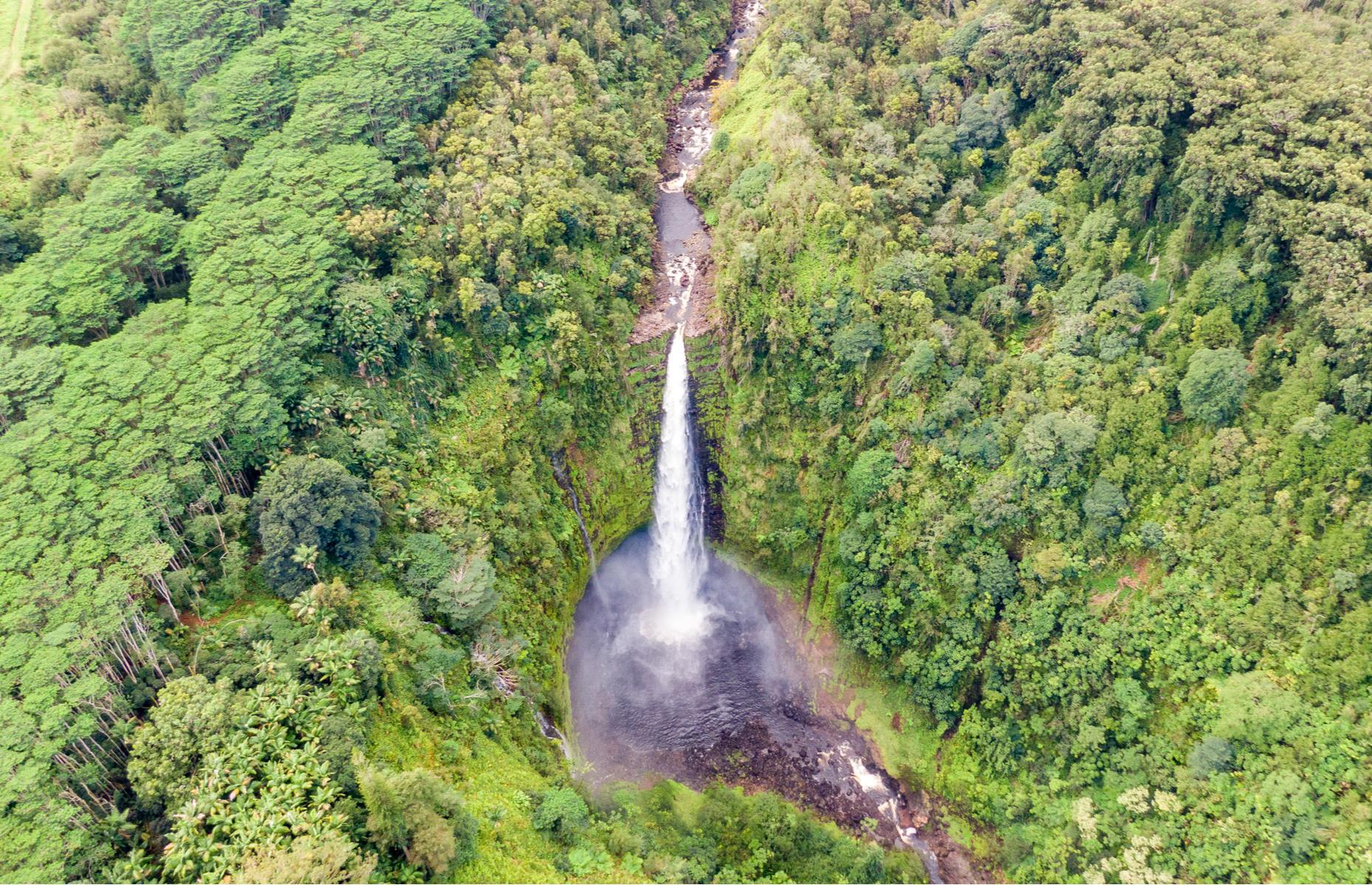 Slide 20 of 45: An impressive cascade on Hawaii Island, the Akaka waterfall can be found in the eponymous Akaka Falls State Park. The rugged park is nestled away in the northeast of the island and the dramatic falls, surrounded by dense forest, crash some 442 feet (135m) down into the gorge below. See more photos of impressive waterfalls from around the world here.