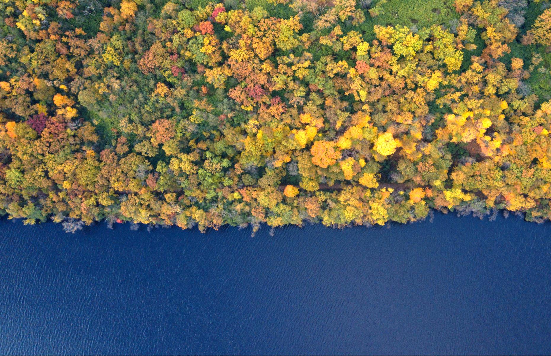 Slide 43 of 45: One of America's lesser-known wonders, the St Croix River runs along the border of Minnesota and Wisconsin. Leafy Afton State Park sits right on the river, protecting prairie land, woodland and even a swimming beach. Shot from overhead, this photograph shows the park in fall when a mottled forest contrasts with the blue river. Now take a look at the world's most incredible photos from above.