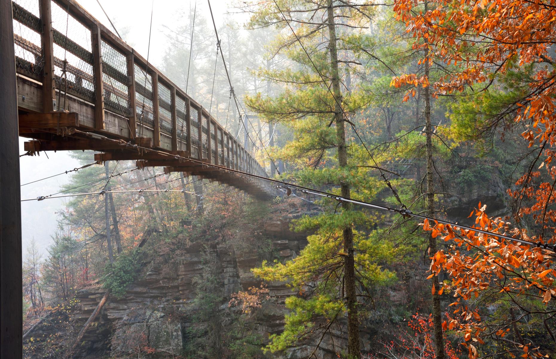 The Most BEAUTIFUL Bridge In Every State