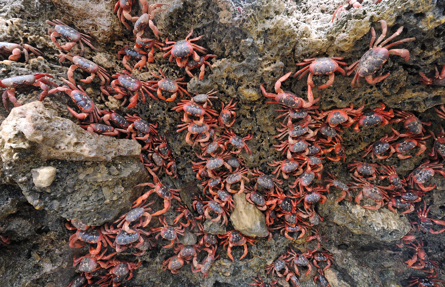 These Are The Greatest Natural Spectacles On Earth 7165