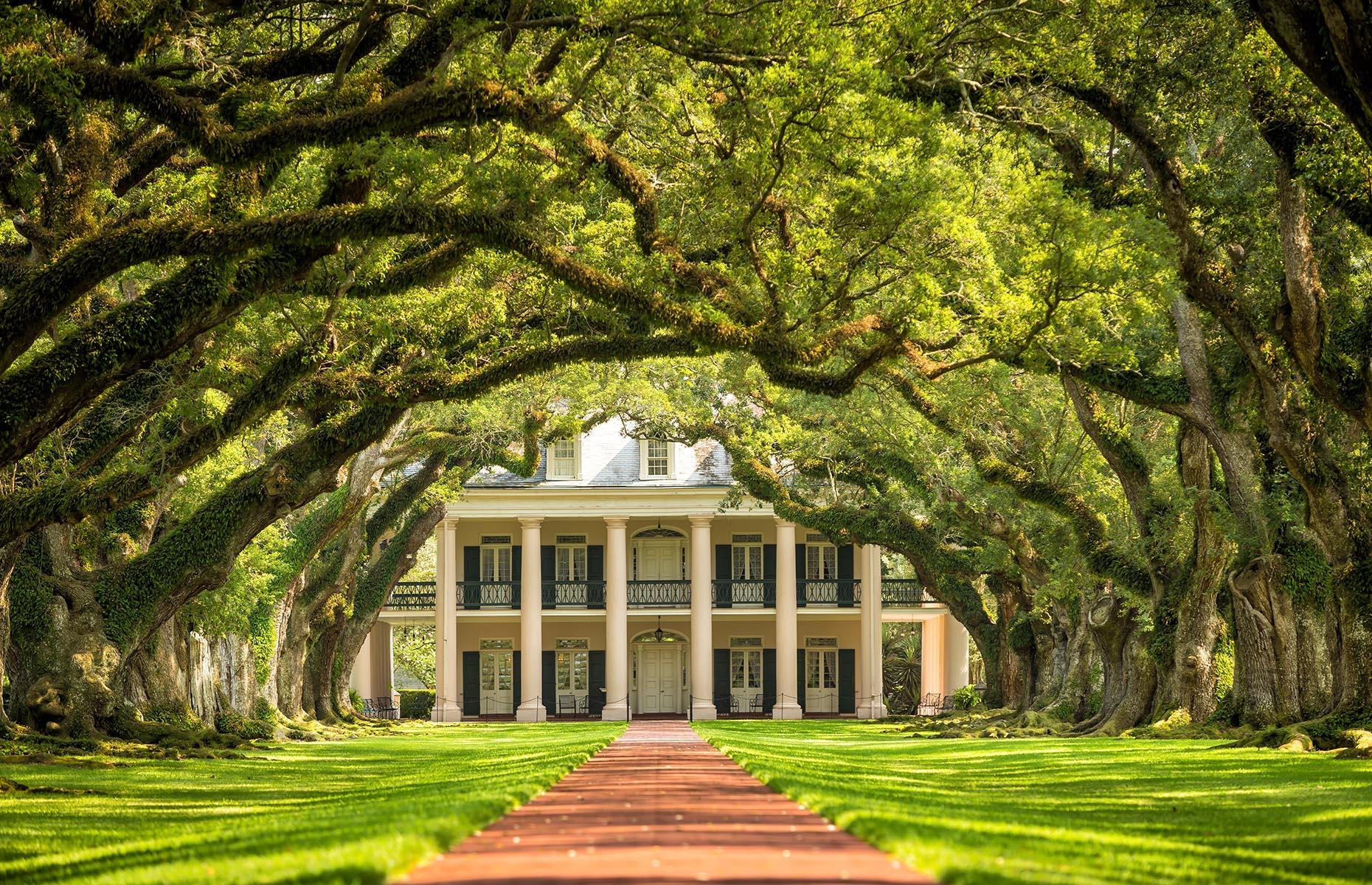 <p>This former sugar plantation is named for the miles of graceful, arching oaks it's so famous for. The historic site is dedicated to educating visitors about its history that's spanned more than 200 years, with a particular focus on the history of slavery both at this plantation and in the US generally. The Slavery at Oak Alley exhibit chronicles the lives of the many people enslaved here and shines a spotlight on what their life was really like after emancipation. There's also an exhibit on the Civil War, recounting the events of the conflict.</p>