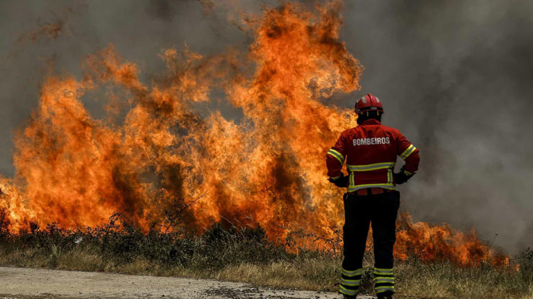 Mais de 110 operacionais, 30 veículos e helicóptero combatem um incêndio rural em Cachoeiras, Vila Franca de Xira, tendo um carro dos bombeiros sido atingido pelo fogo, mas não há feridos, disse hoje à Lusa fonte do CDOS Lisboa.