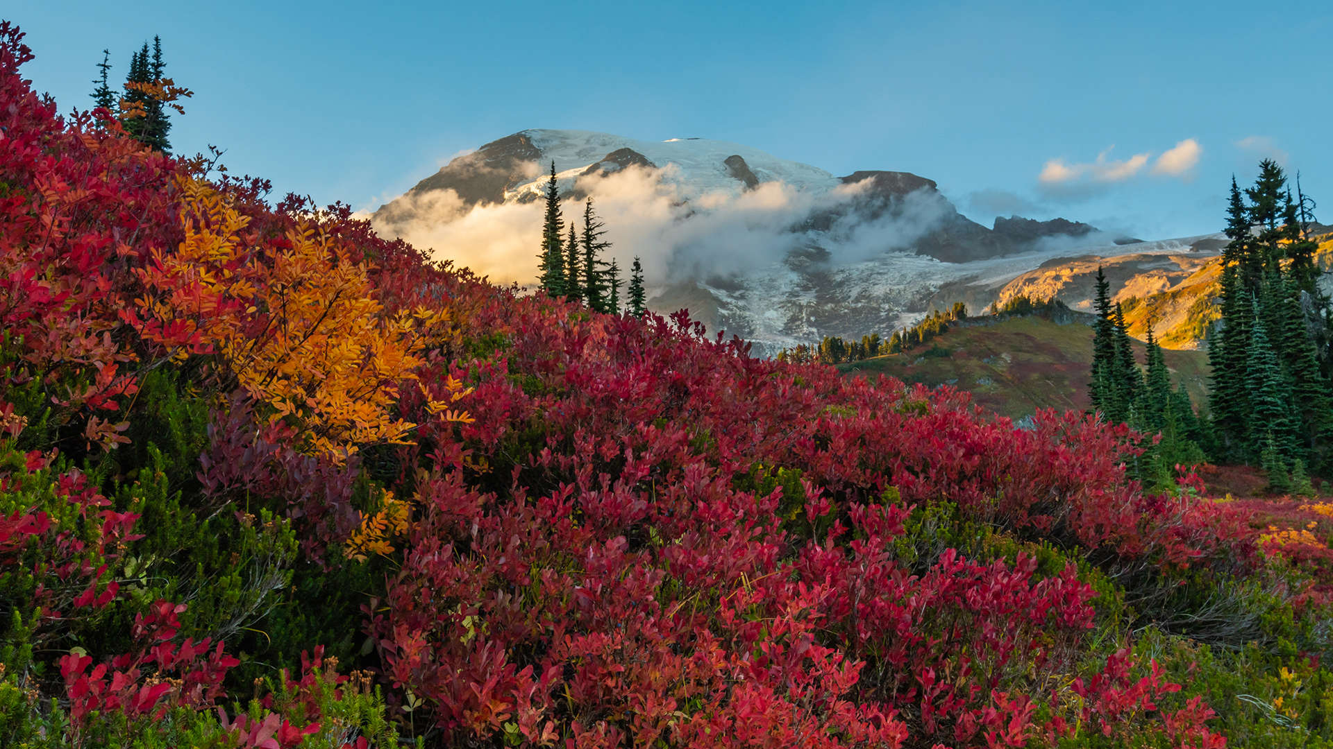 جبال ماجستيك - Kelly vanDellen/Shutterstock الشريحة 1 من 11: Clouds Hover in Front of Mount Rainier with Red Huckleberry in Foreground