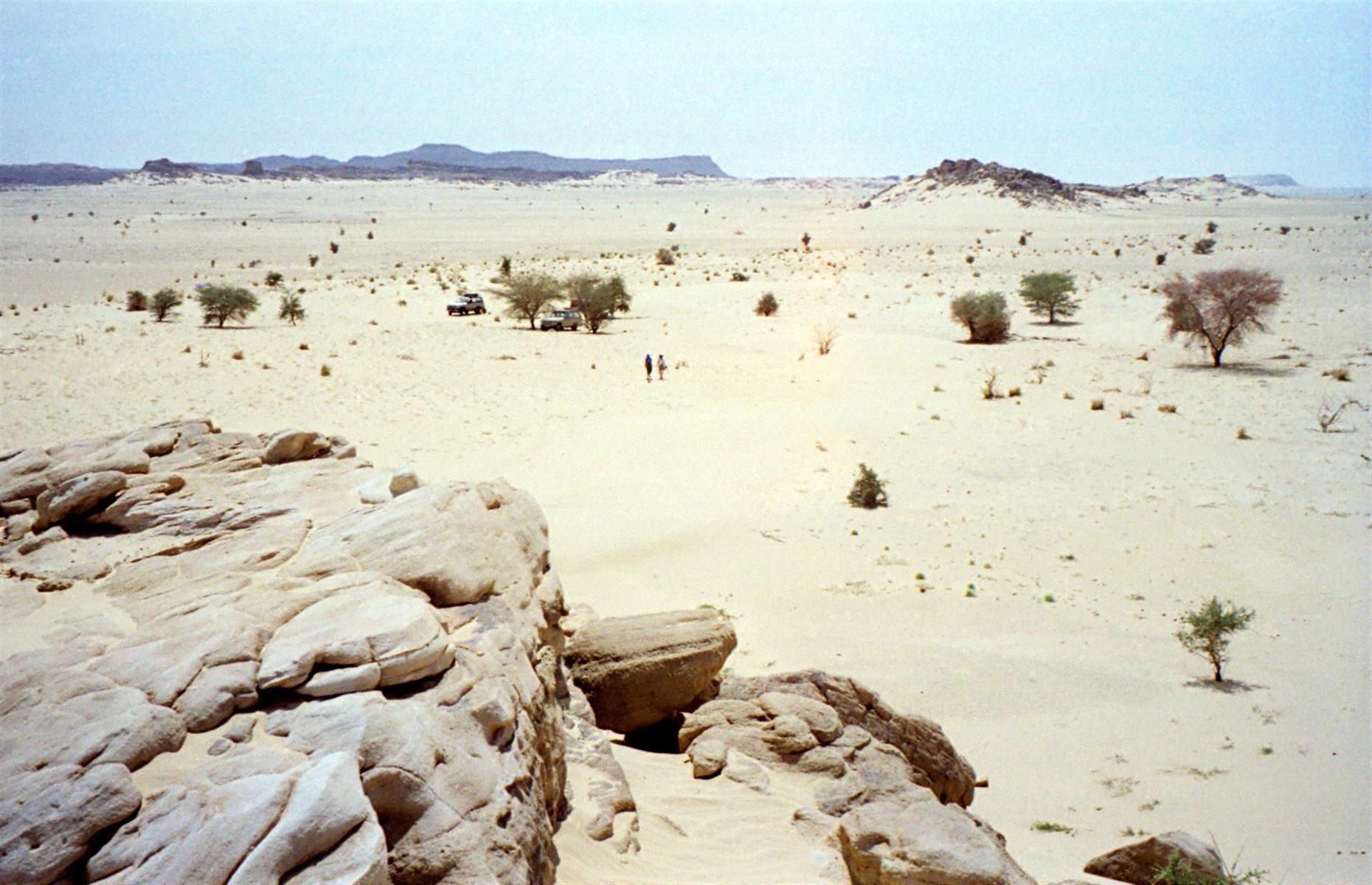 Slide 32 of 53: Ténéré within the Sahara Desert is a vast stretch of sand that extends from northeastern Niger into western Chad. It is the largest protected area in Africa at 7,736,000 hectares. The natural reserves are home to an array of plants and animals, including three threatened species of antelopes. The site was inscribed on the danger list in 1992 for a variety of reasons including political instability, poaching and illegal grazing.