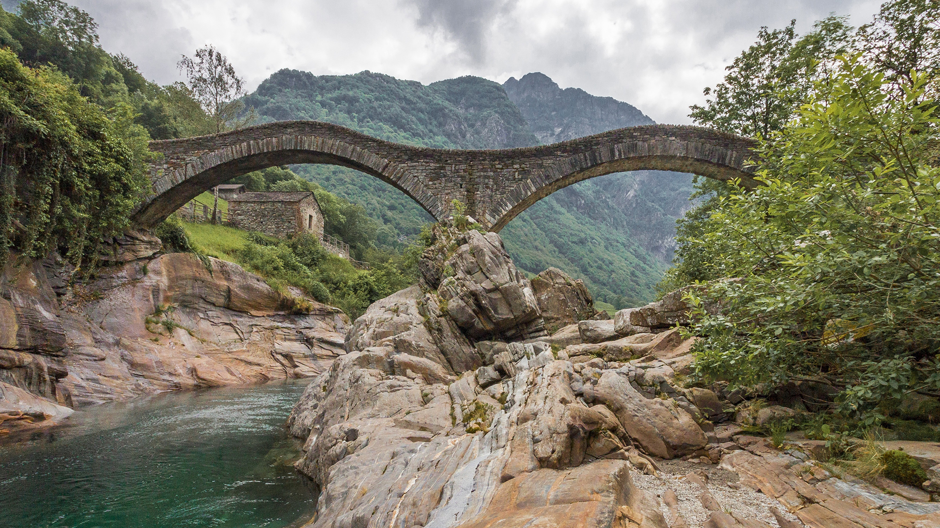 ����� 28 �� 45: photographic trip to switzerland for the nature of the alps