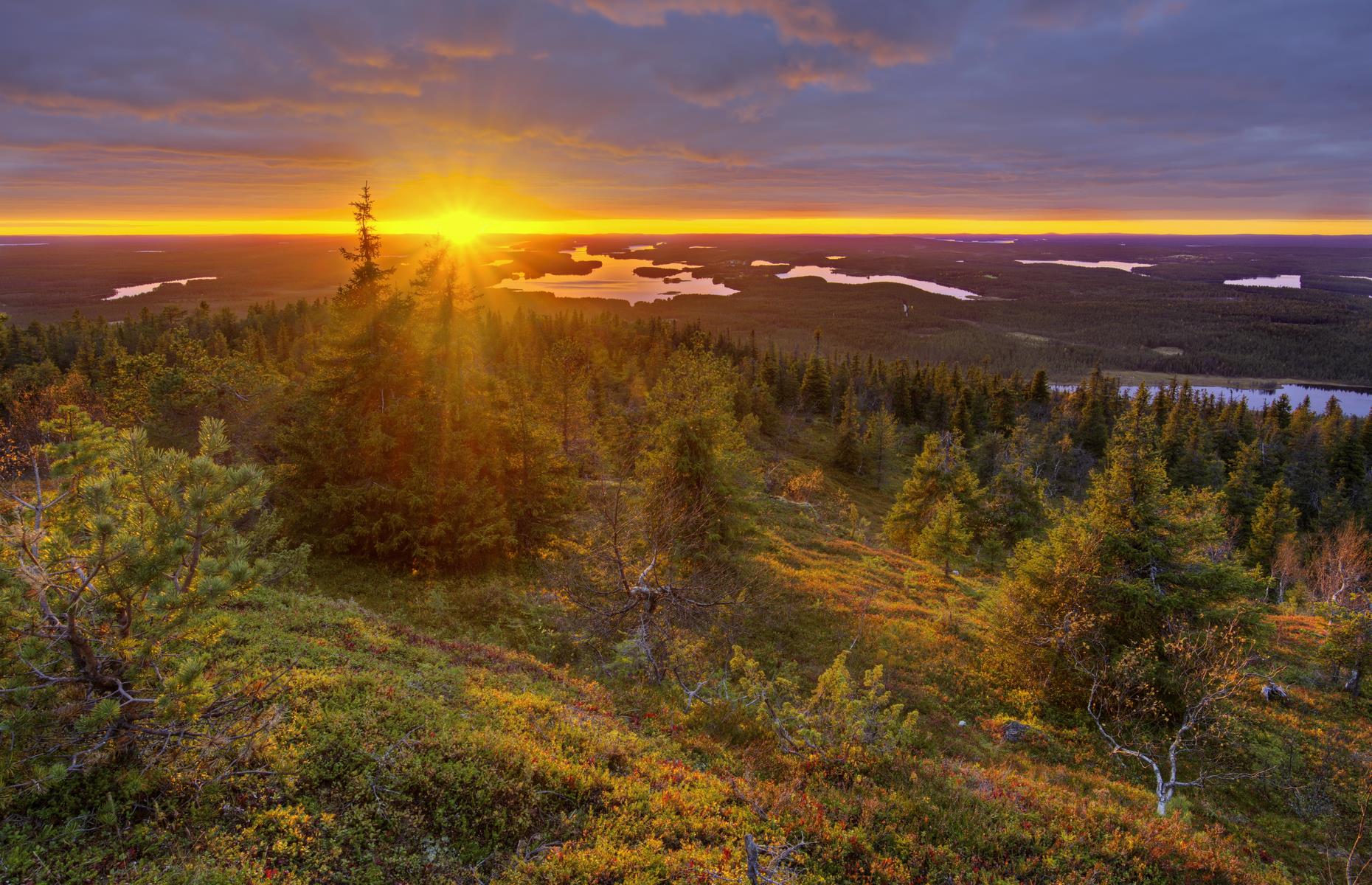 <p>In remote northeastern Finland, you'll find the 104-square-mile (269sq km) Oulanka National Park. Established in 1956, it’s a day's drive from the capital, Helsinki, although there’s an airport in the tiny town of Kuusamo, only 50 minutes away. It’s twice been expanded (in 1982 and 1989); there are evergreen forests, turbulent rapids and Siberian-esque natural beauty, as the park shares a border with Russia.</p>