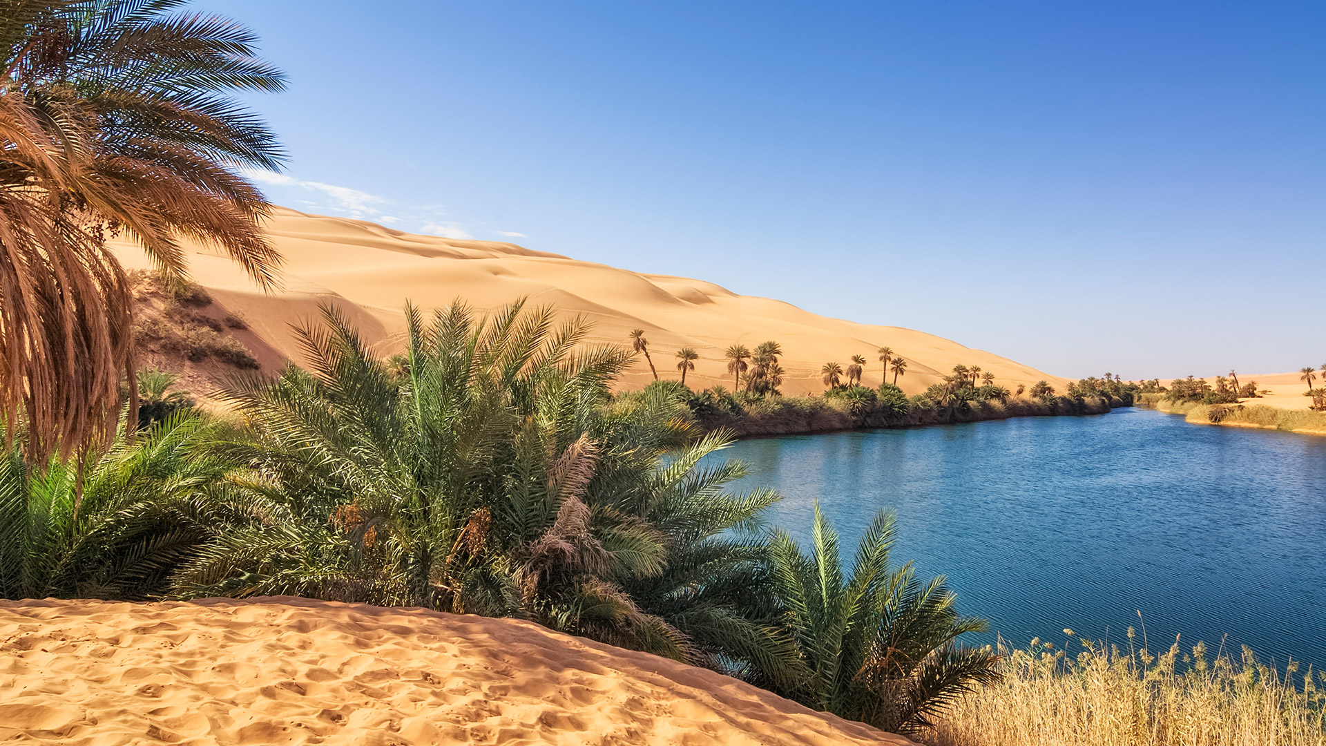 ����� 2 �� 16