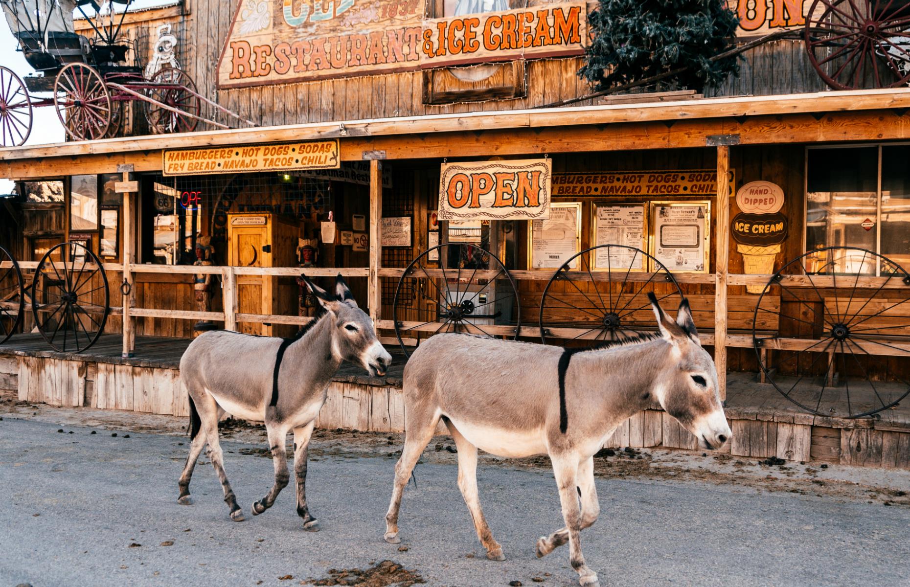 <p>The tiny ghost town of Oatman, Arizona, on historic Route 66, has some unusual residents – wild donkeys, or burros. The animals, which roam the streets, were originally brought here by prospectors and set loose in the surrounding mountains when the gold mine closed in 1942. They’re so beloved – and such a part of the town’s fabric – that they even feature on the welcome sign, while stores sell special “burro food”. Take a look at <a href="https://www.loveexploring.com/galleries/77836/the-eeriest-ghost-towns-in-america">America's eeriest ghost towns</a>.</p>