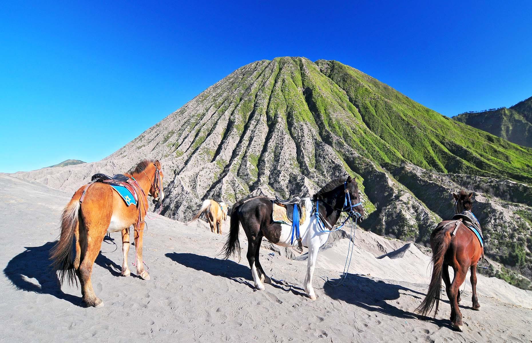 Normally, the majority of visitors book onto a tour and travel by Jeep in the early hours of the morning to a viewpoint to watch the sunrise over Mount Bromo. Then a sea of sand has to be crossed to get anywhere near the actual crater – it's possible to hike, but usually locals offer bike or horseback rides.