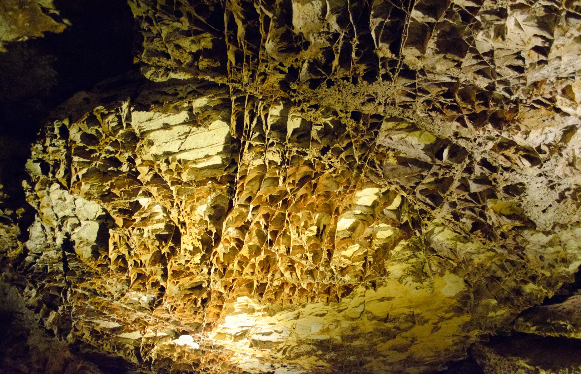 <p>Deep under the South Dakota grasslands is Wind Cave, one of the world’s longest cave networks. Here, the oldest rock formations date back some 310 million years and powerful winds blast in and out of the cavern mouth, causing a whistling noise. To date, over 123 miles (198km) of rocky passages have been explored and six lakes discovered. Here the big draw is boxwork, where calcite forms in an intricate honeycomb pattern. Cave access is currently closed due to elevator repairs; <a href="https://www.nps.gov/wica/index.htm">check the website</a> for updates.</p>