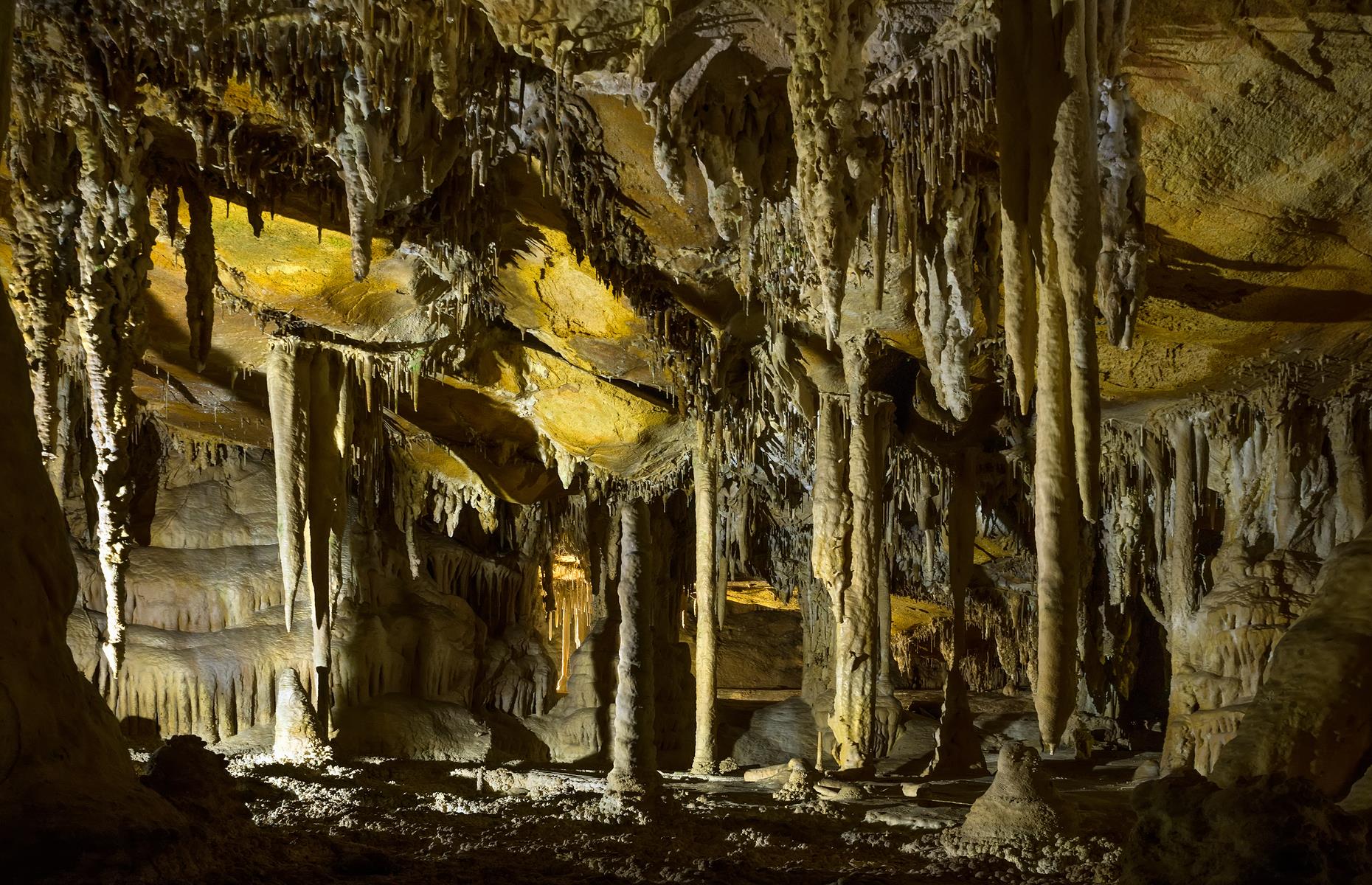 <p>Over millions of years, subterranean streams dissolved the limestone rock to form this spectacular cave system in Nevada's Great Basin National Park. During Prohibition it was used as a secret speakeasy but now the attraction is the thousands of delicate columns, hollow stalactites (known as soda straws) and needle-like crystals. Look out for "cave popcorn", formed from small lumps of calcite. It looks surprisingly like the real thing. Tours are currently suspended due to COVID-19 (<a href="https://www.nps.gov/grba/planyourvisit/lehman-caves-tours.htm">check the website</a> for updates) but there's <a href="https://www.nps.gov/grba/learn/photosmultimedia/virtual-cave-tour.htm">a virtual tour online</a>.</p>