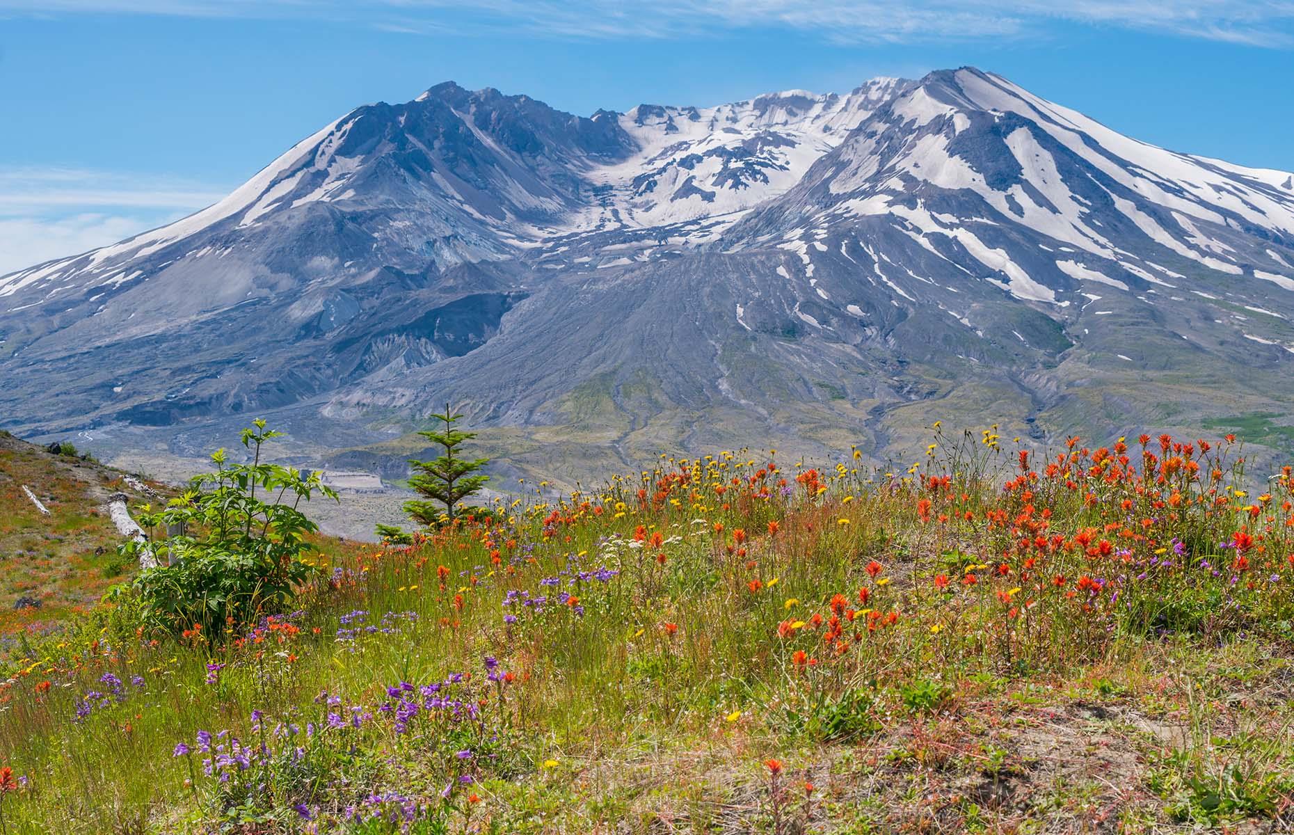 <p>In the Cascade Range in Washington State, Mount St Helens is infamous for its 1980 eruption in which 57 people lost their lives. The <a href="https://www.fs.usda.gov/recarea/giffordpinchot/recarea/?recid=34143">Mount St Helens National Volcanic Monument</a> was created to preserve the volcano and constantly monitor it for unusual seismic activity.</p>