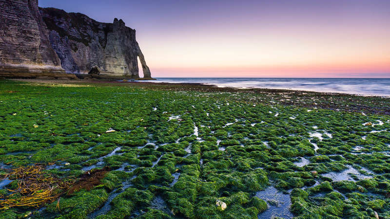 شواطئ فريدة - Radius Images/Offset الشريحة 5 من 13: Green kelp covered beach in front of Porte d'Aval at Dusk, Cote d'Albatre, Pays de Caux, Seine-Maritime, Haute-Normandie, France