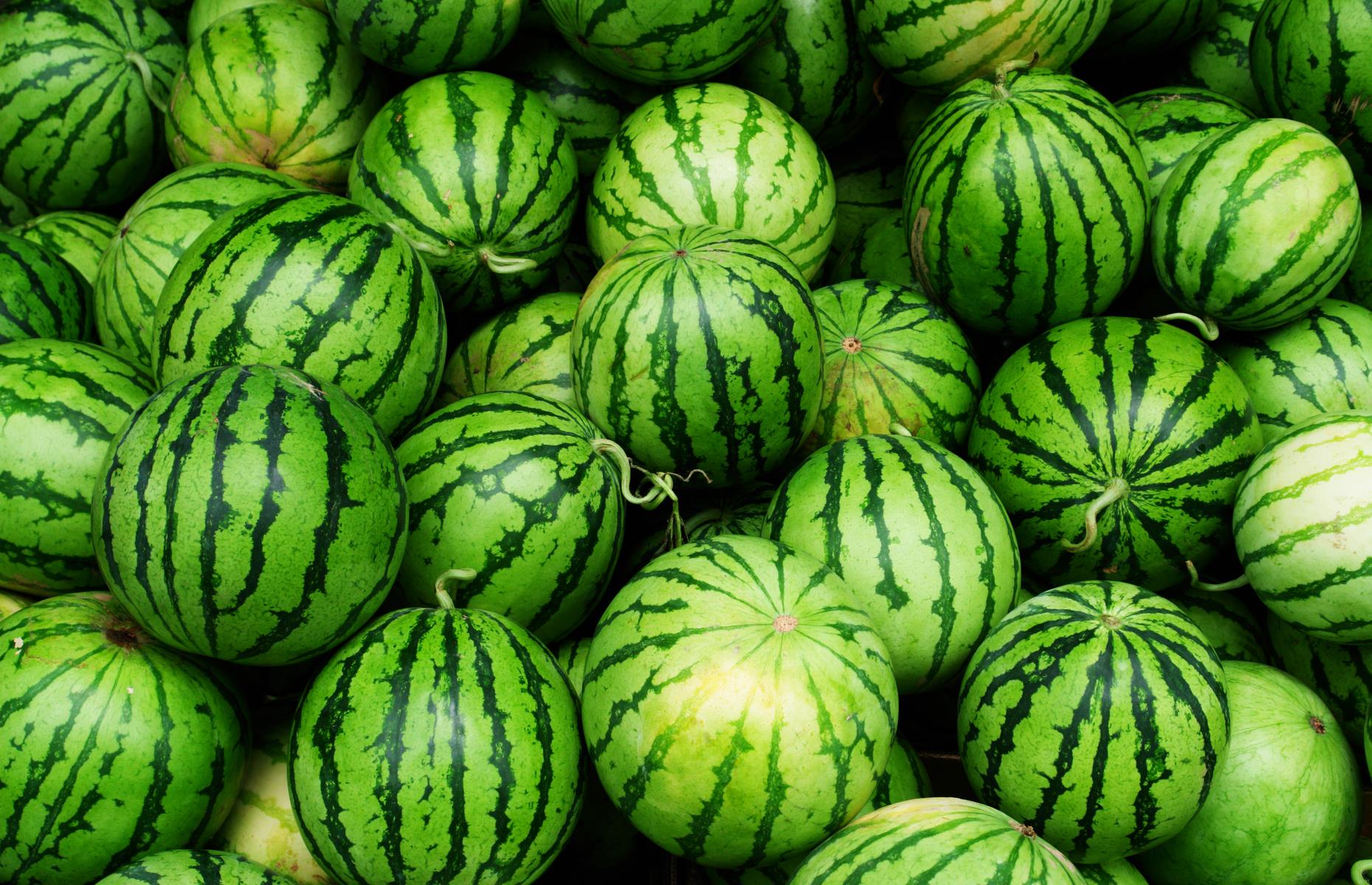<p>We thought the only real watermelon debate was whether to spit out the pips (and how to do so with a semblance of elegance). But Oklahoma sparked fury when it declared the round, watery fruit its state… vegetable. The <a href="https://www.theguardian.com/world/2007/apr/18/usa.matthewweaver">controversial decision</a> was made in 2007 after senator Don Barrington argued that watermelon is both fruit and vegetable because it’s a member of the cucumber family. (Cucumber is also technically a fruit because it grows from flowers and contains seeds.)</p>