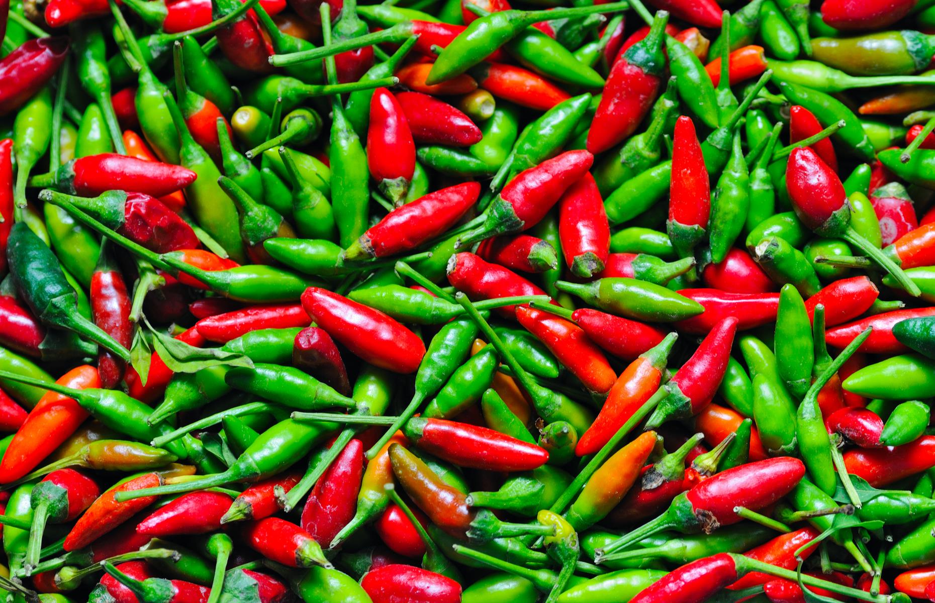 <p>The importance of chile peppers goes further, though, spawning <a href="https://thepack.unm.edu/red-green/">an official state question</a>: “Red or Green?” The answer reveals one’s preference to chiles grown and typically eaten in different parts of the state, with those in the south traditionally favoring green chiles and others opting for slightly smoother, smokier red chiles.</p>