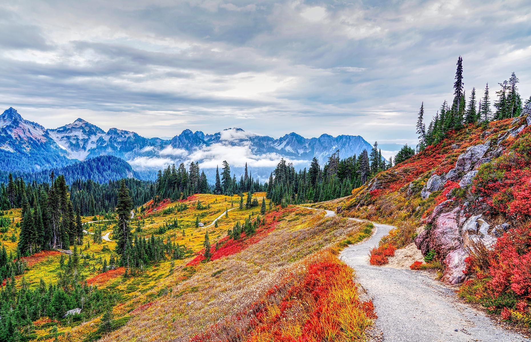 <p>Just a short drive from the city, <a href="https://www.nps.gov/mora/index.htm">Mount Rainier National Park</a> offers over 14,000-square-feet (1,300sqm) of adventure. Powerful waterfalls and gorgeous wildflower meadows make for a picture-perfect landscape, and with over 130 trails to choose from there's plenty of exploring to be done. Depending on the time of year you're here, you can do everything from skiing and snowmobiling to mountain biking and fishing. Some facilities remain closed, so check before visiting.</p>  <p><strong>Now take a look at <a href="https://www.loveexploring.com/galleries/90563/americas-most-stunning-natural-wonders?page=1">America's most stunning natural wonders</a></strong></p>