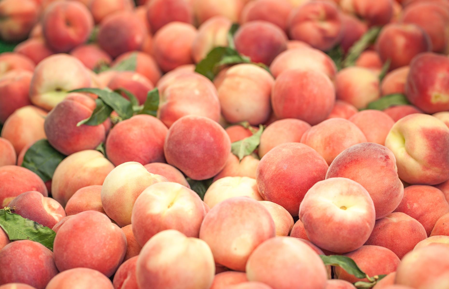 20 Intriguing State Foods You May Not Know About And The Story Behind