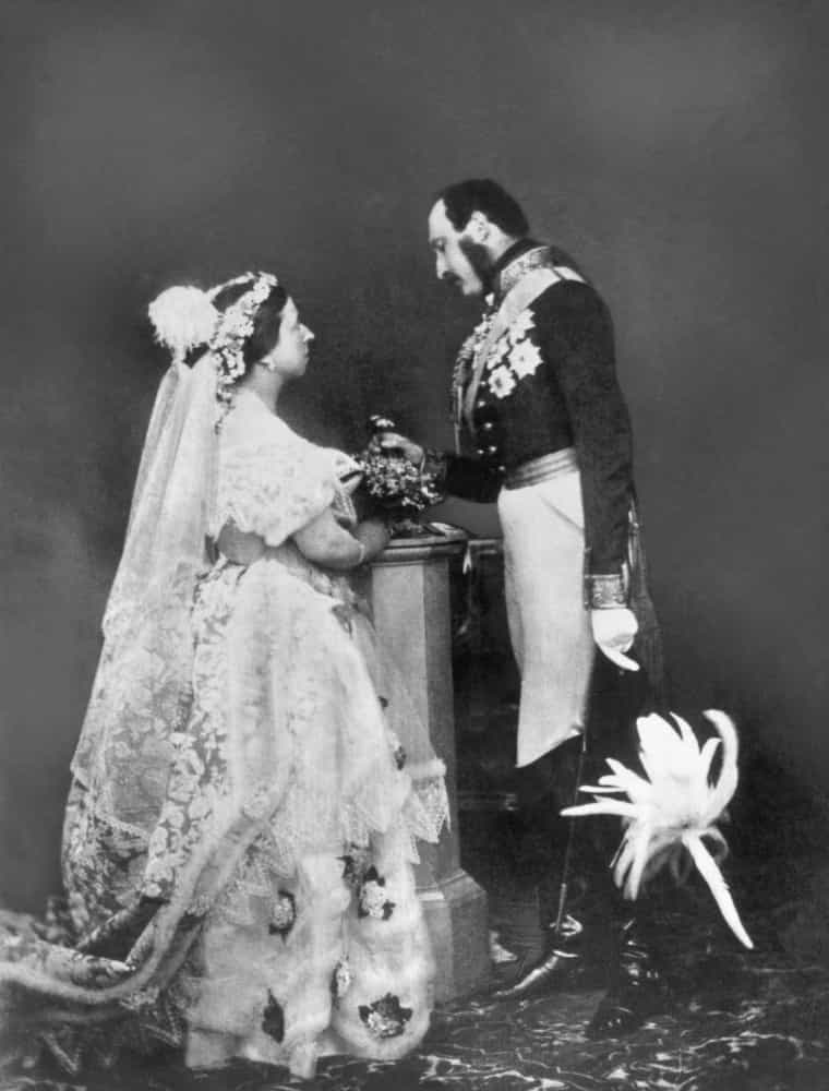 <p>Queen Victoria and Prince Albert came up with a unique plan to maintain peace and unity in Europe.</p>