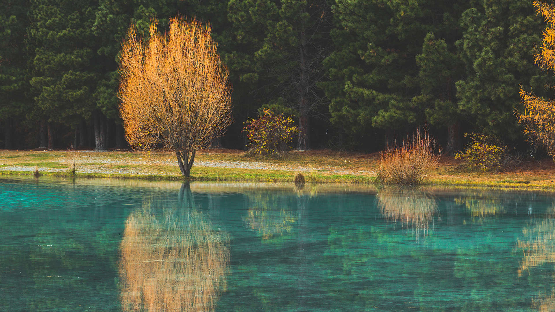 حمامات الزمرد الخضراء، تويزل، الجزيرة الجنوبية، نيوزيلندا - Kieran Stone/Moment/Getty Images الشريحة 2 من 11