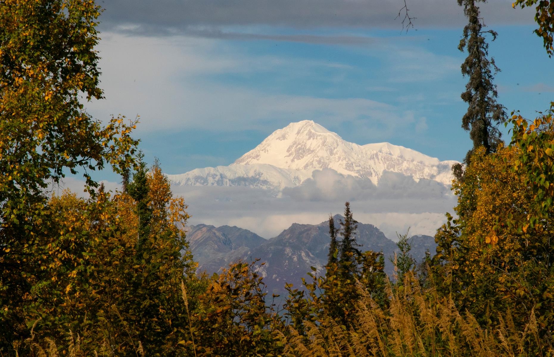 <p>It can be difficult to drift off to sleep at <a href="http://dnr.alaska.gov/parks/sdenali/index.htm">this perfectly positioned site</a> within Alaska’s Denali State Park. Not because it's noisy or crowded – the 32 RV sites are spaced well apart and, most evenings, the only sounds will be rustling leaves and birdsong. But it’s just so hard not to keep peeking at the peak. Denali, the highest mountain peak in North America, is impeccably framed by spruce firs and pines – and simply gorgeous in every light.</p>