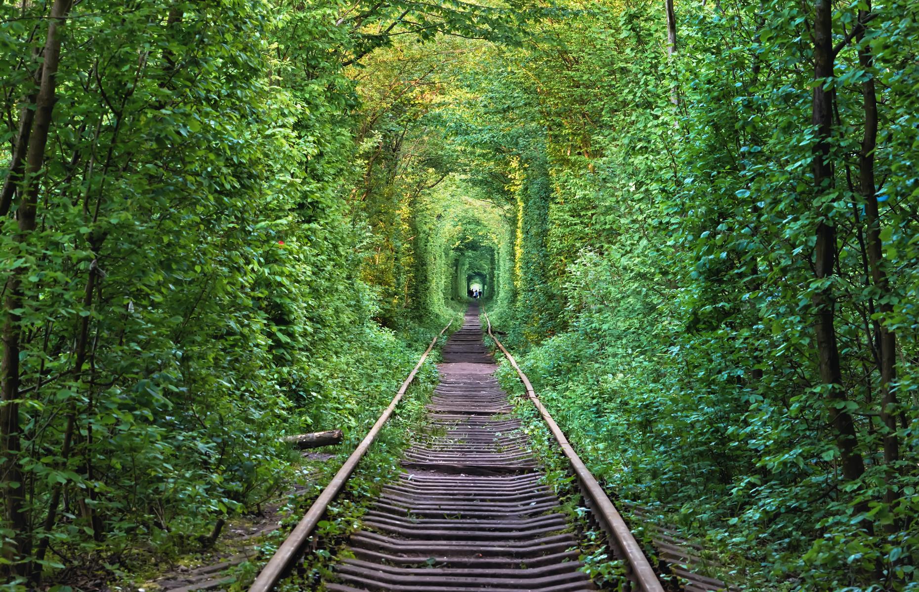 The most beautiful tunnels in the UK and around the world