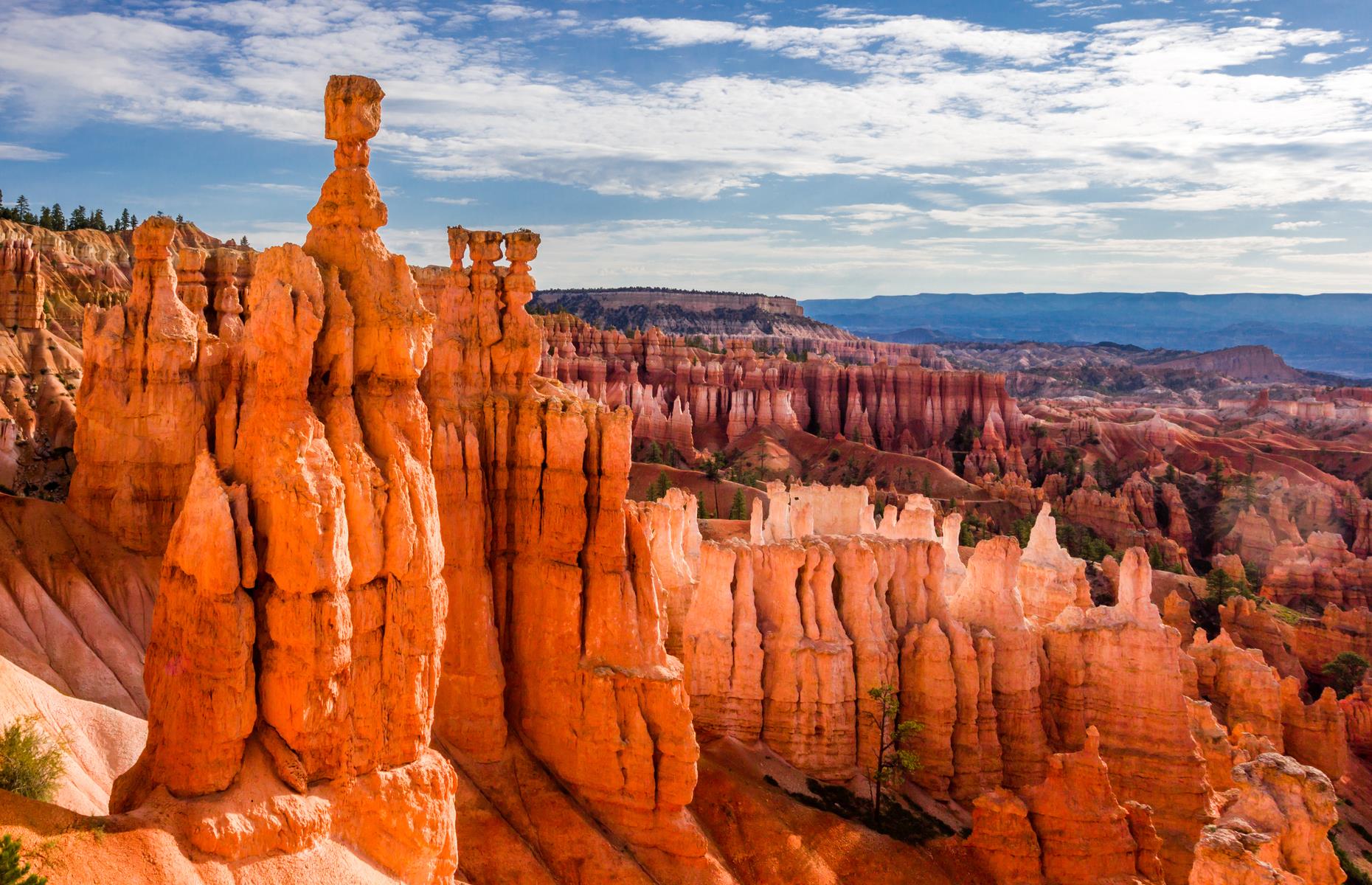 <p>The road passes peaks and hiking trails, and those who take the slower, scenic route through <a href="https://www.fs.usda.gov/mantilasal/">Manti-La Sal National Forest</a> can stop to explore aspen groves, sandstone canyons and mountain lakes. It’s a good way to build up for setting eyes on <a href="https://www.nps.gov/brca/index.htm">Bryce Canyon</a> – this jagged sprawl of red and apricot hoodoos, towering above stretches of alpine forest, is jaw-droppingly beautiful. Now discover <a href="https://www.loveexploring.com/galleries/77699/rv-heaven-the-best-place-to-stay-in-every-state-with-your-motorhome?page=1">the best place to stay in every state with your motorhome</a>.</p>