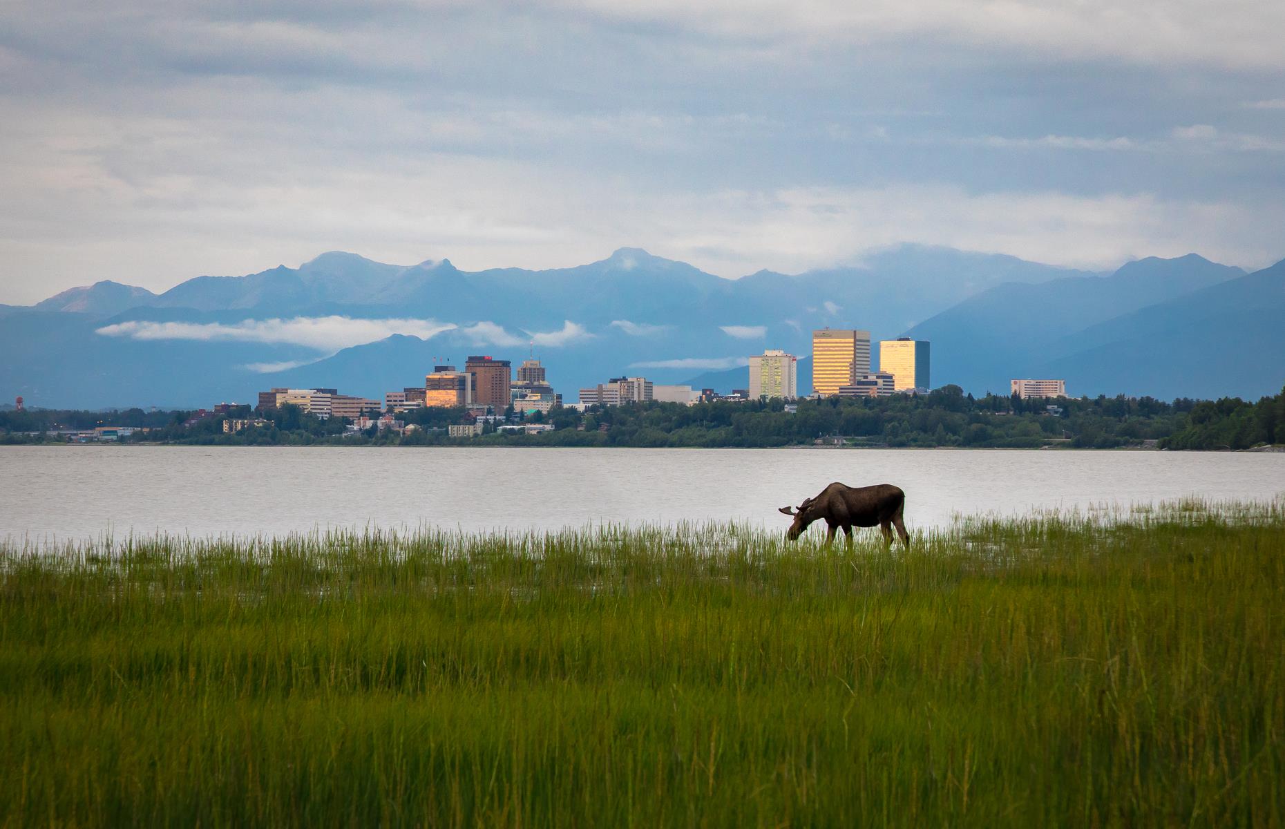 <p>The George Parks Highway, or Parks Highway, joins Anchorage and Fairbanks, slicing through 323 miles (520km) of wilderness, rivers and lakes, with sightings of North America’s tallest peak, Denali, along the way. <a href="https://www.anchorage.net/">Anchorage</a> is the glorious starting point, with its galleries, museums and live music scene. Note that visitors to Alaska must currently provide proof of a negative COVID-19 test before entering the state – <a href="https://www.travelalaska.com/planning/tips/covid19.aspx">check details here</a>.</p>