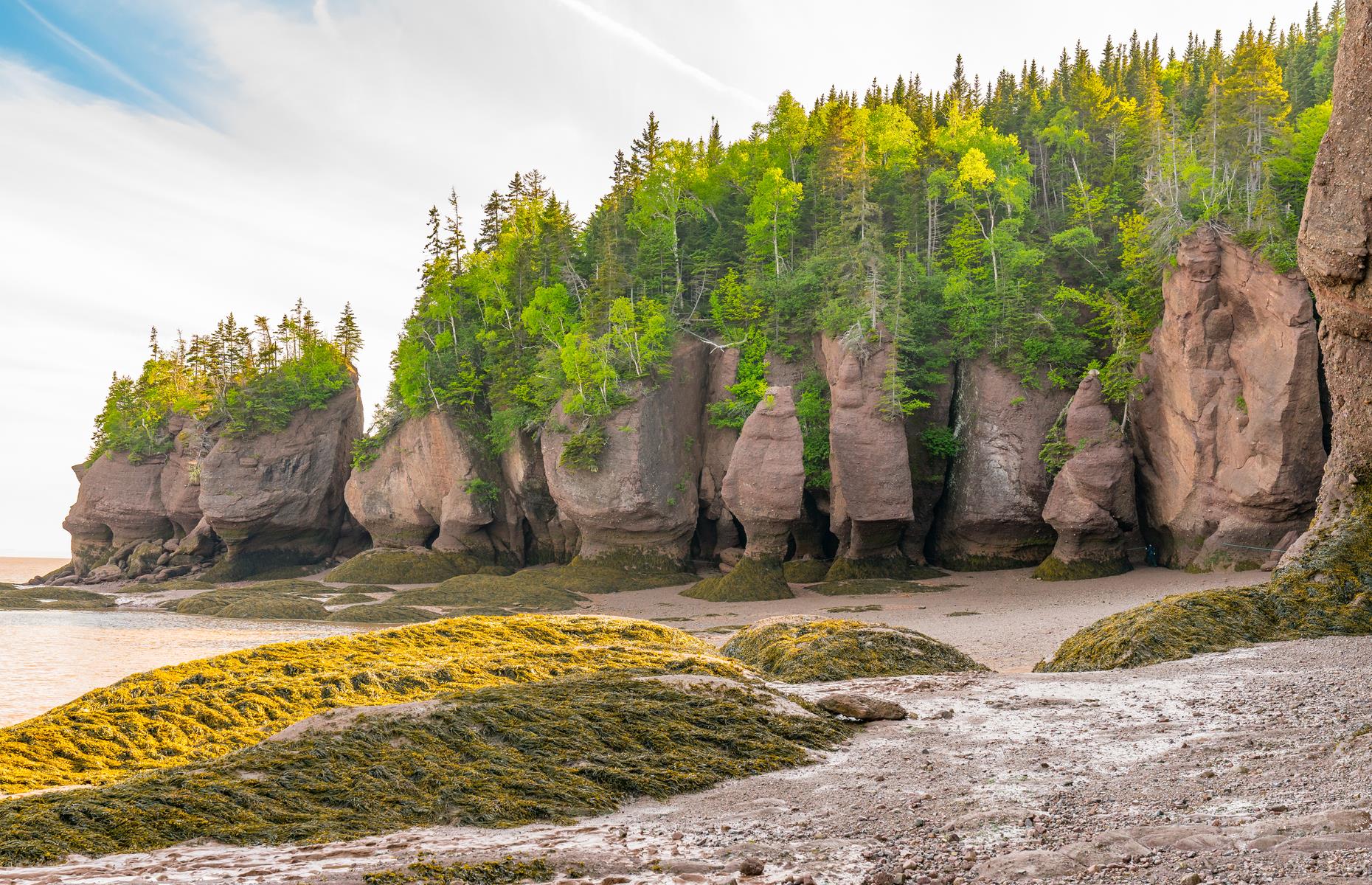 Hopewell Rocks, <b>Bay</b> <b>of</b> <b>Fundy</b>, New Brunswick, <b>Canada</b>. 