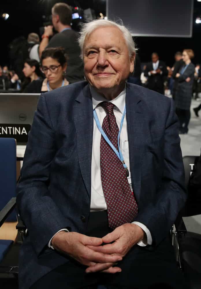 Darum sollten wir alle auf David Attenborough hören