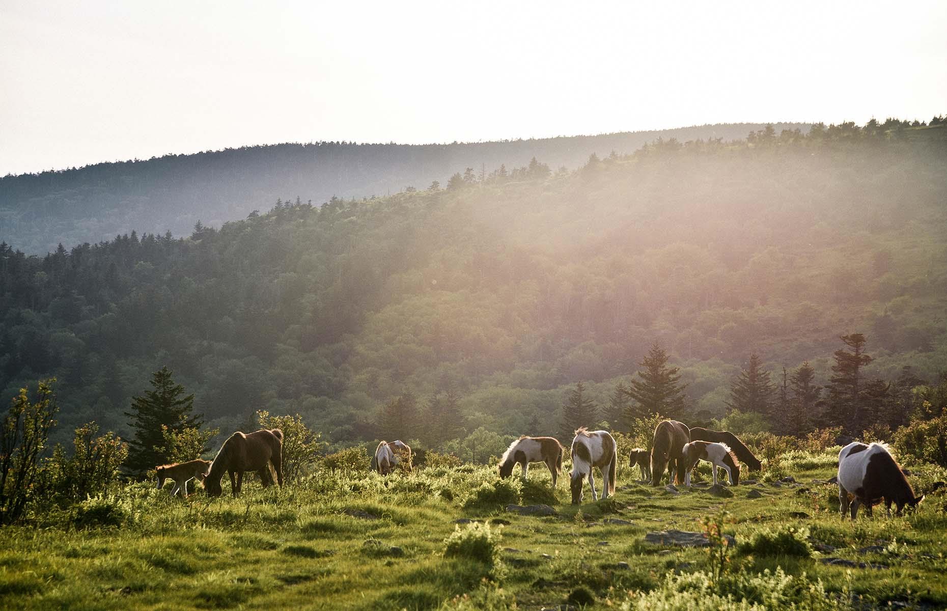 30 of America's most stunning mountains