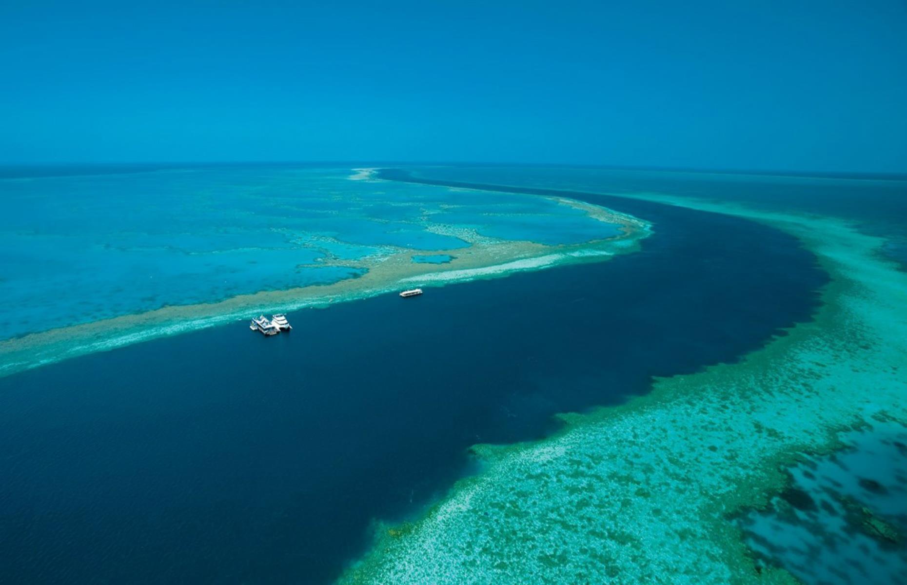 <p>If the suites are booked out, there are other options for people wanting to spend longer on the reef. <a href="https://cruisewhitsundays.com/experiences/reefsleep/">Reefsleep</a> is a two-day, one-night glamping experience where people can spend the night sleeping under the stars on the pontoon. After arriving by boat, guests spend their days snorkeling and swimming, going for a ride in a semi-submarine or watching life in the reef unfold from the observatory. The viewing gallery sits underneath the pontoon and is fitted with full-length windows for maximum reef gazing.</p>