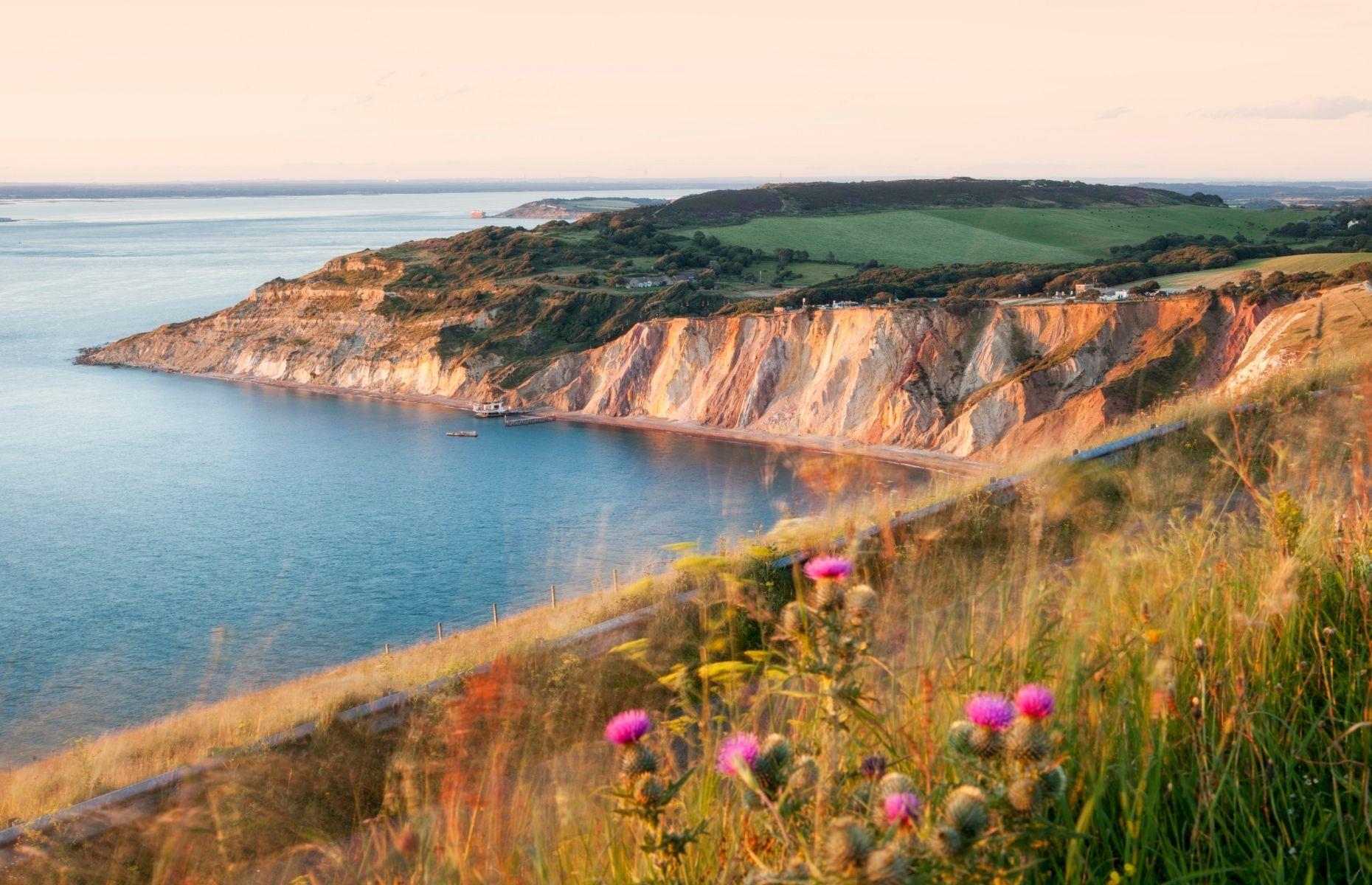 <p>Nicknamed the Dinosaur Island, the Isle of Wight is one of the richest areas for dino discoveries in all of Europe. In fact, evidence of over 25 species has been found here. Positioned off the south coast of Britain, dinosaur bones and relics are regularly discovered along the island’s 57-mile (92km) shore – and there are plenty of places to see them, including Compton and Brook beaches. The Dinosaur Isle Museum takes care of the area’s geological finds and runs regular <a href="https://www.visitisleofwight.co.uk/things-to-do/dinosaur-isle-p143561">expert-led fossil hunts</a> – advance booking is advised.</p>